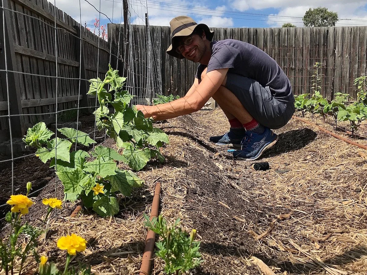 A smiling man kneeling in a garden next to a vine with large green leaves, wearing a wide-brimmed hat, glasses, a dark T-shirt, shorts, and sneakers, surrounded by a wooden fence and some blooming yellow flowers.