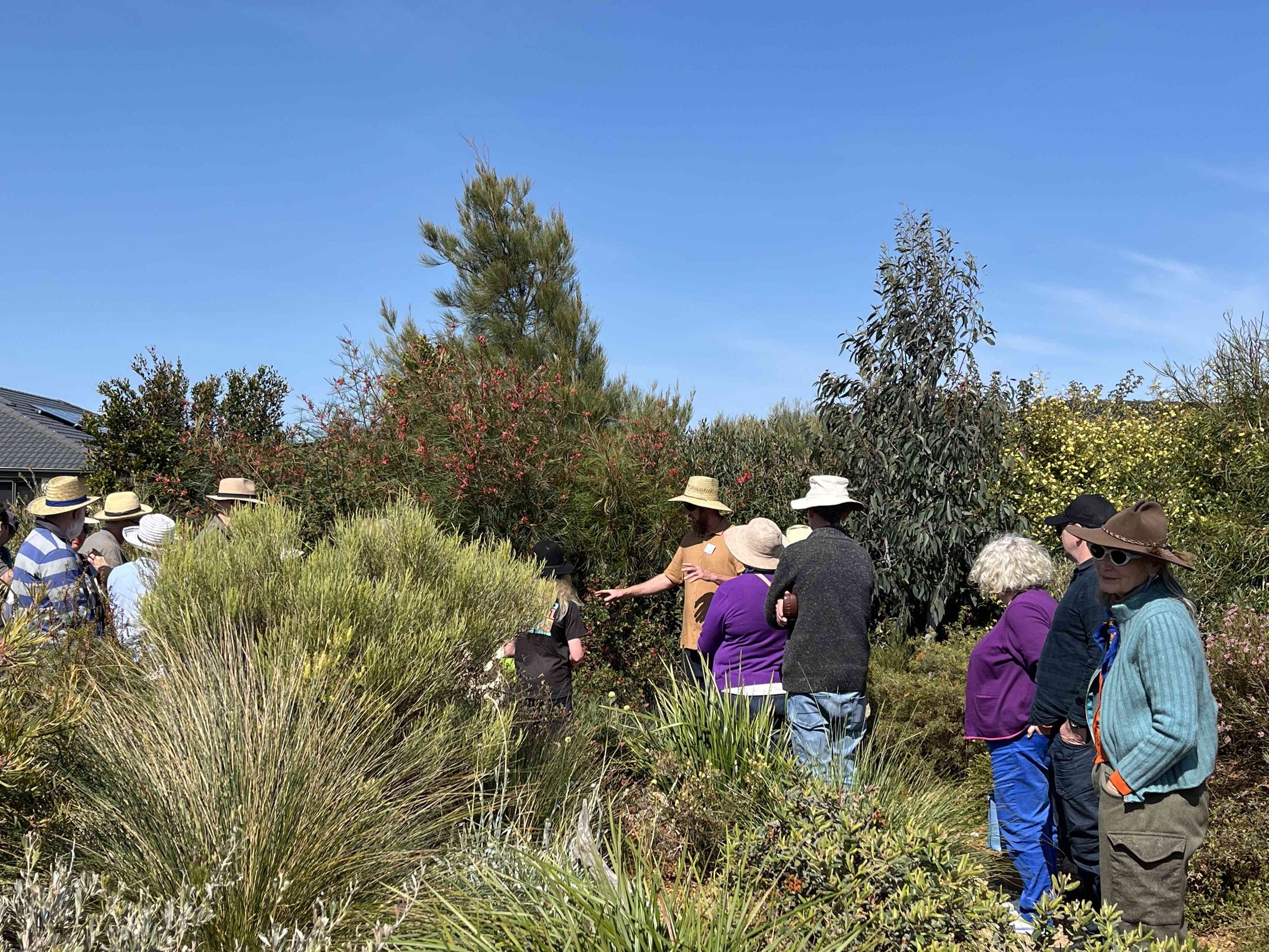 Group of people on a guided garden tour, standing among various shrubs and trees under a clear blue sky, some wearing hats and sunglasses.
