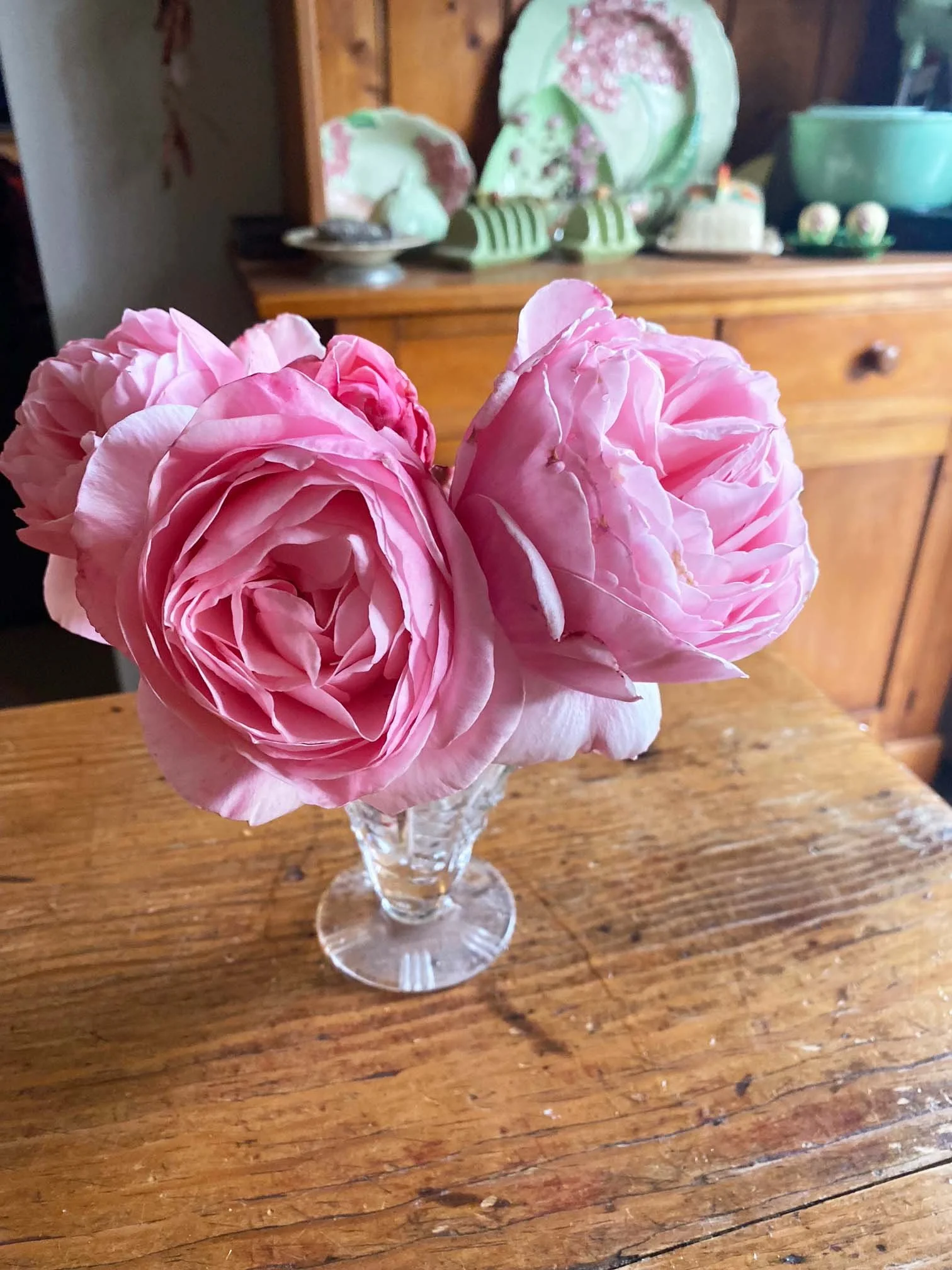 unknown rose picked in a vase.JPEG