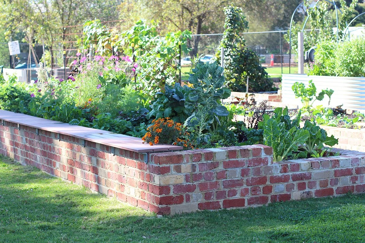Bellfield Community Garden (BCG)