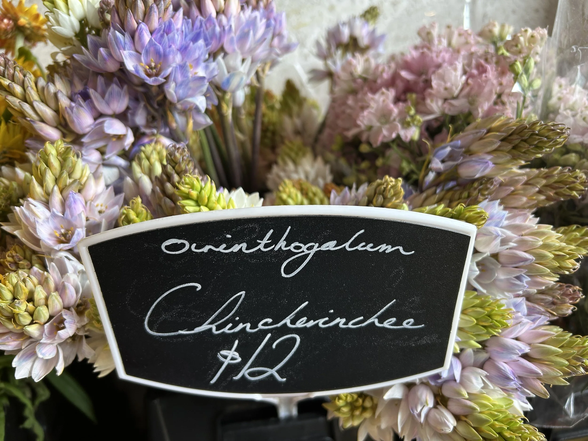 locally grown flowers_3.jpeg