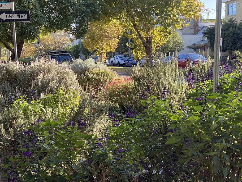 Street scene with parked cars, trees with green and yellow leaves, and a variety of flowering plants in the foreground.