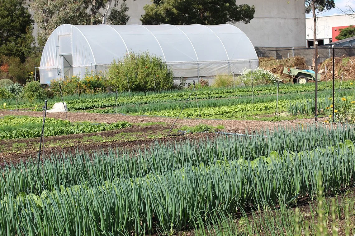 Farm Raiser Urban Farm