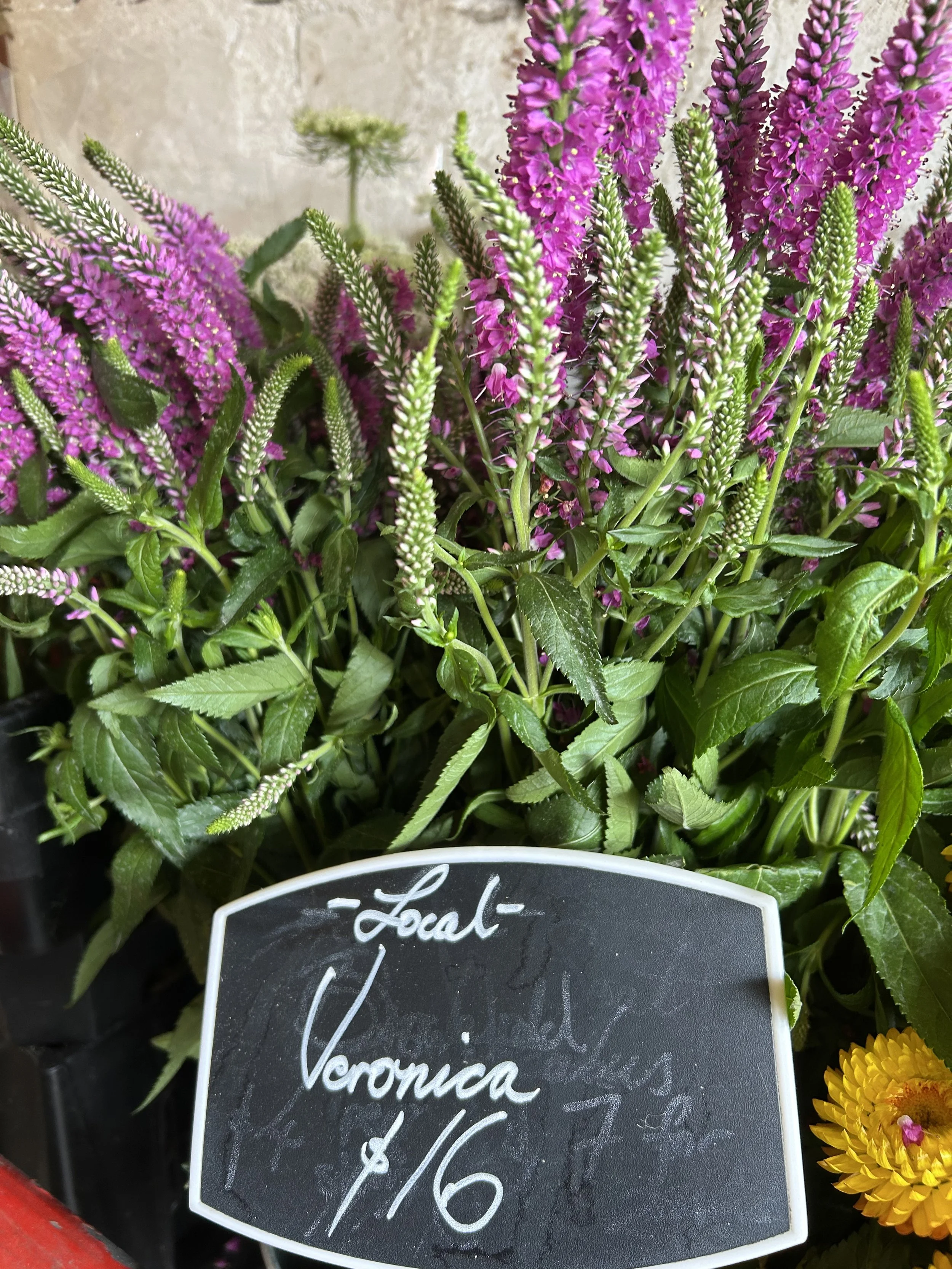 locally grown flowers_1.jpeg