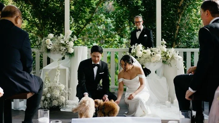 Postcards from Wyn and Josh&rsquo;s lovefest @thefakewynlee From saying I do with their ring bearing fur babies, to a heartfelt tea ceremony honouring family and tradition and swapping out the first dance for trays of vodka shots! 

venue @kwila.lodg