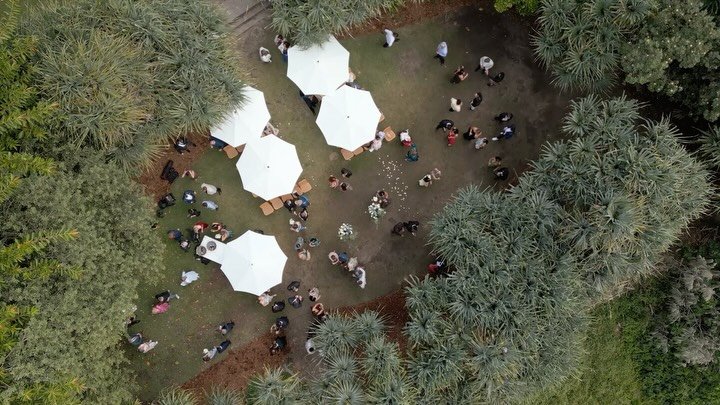 Postcards from Gemma + Nik&rsquo;s big day ✨ 

@gemmaamarshall @nikmccurran 
@pelisweddings 
@lovebirdweddings 
@ash_and_stone 
@call_me_will_music 
@keighleycollective
@mondofloraldesigns