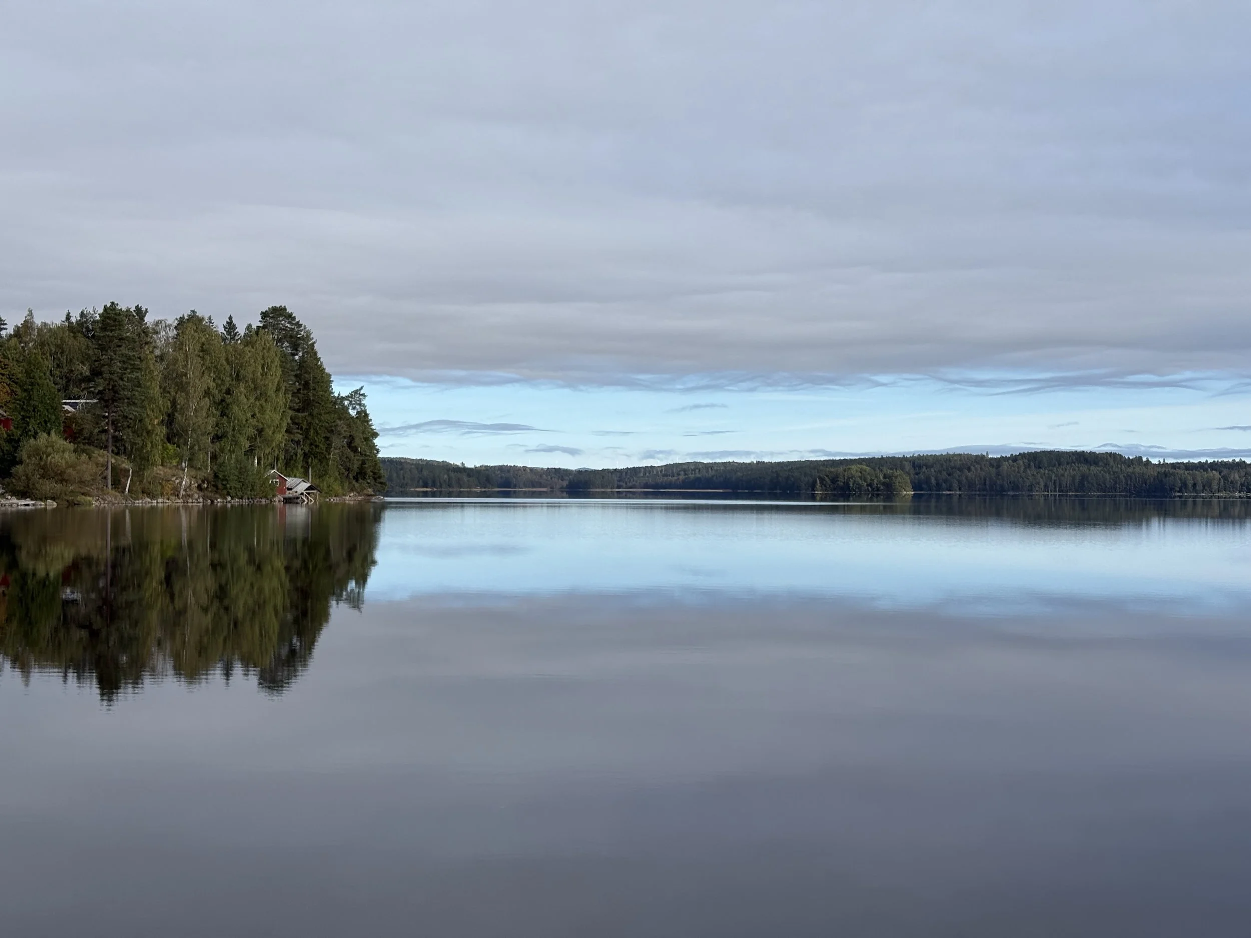 Copy of IMG_3499.jpeg