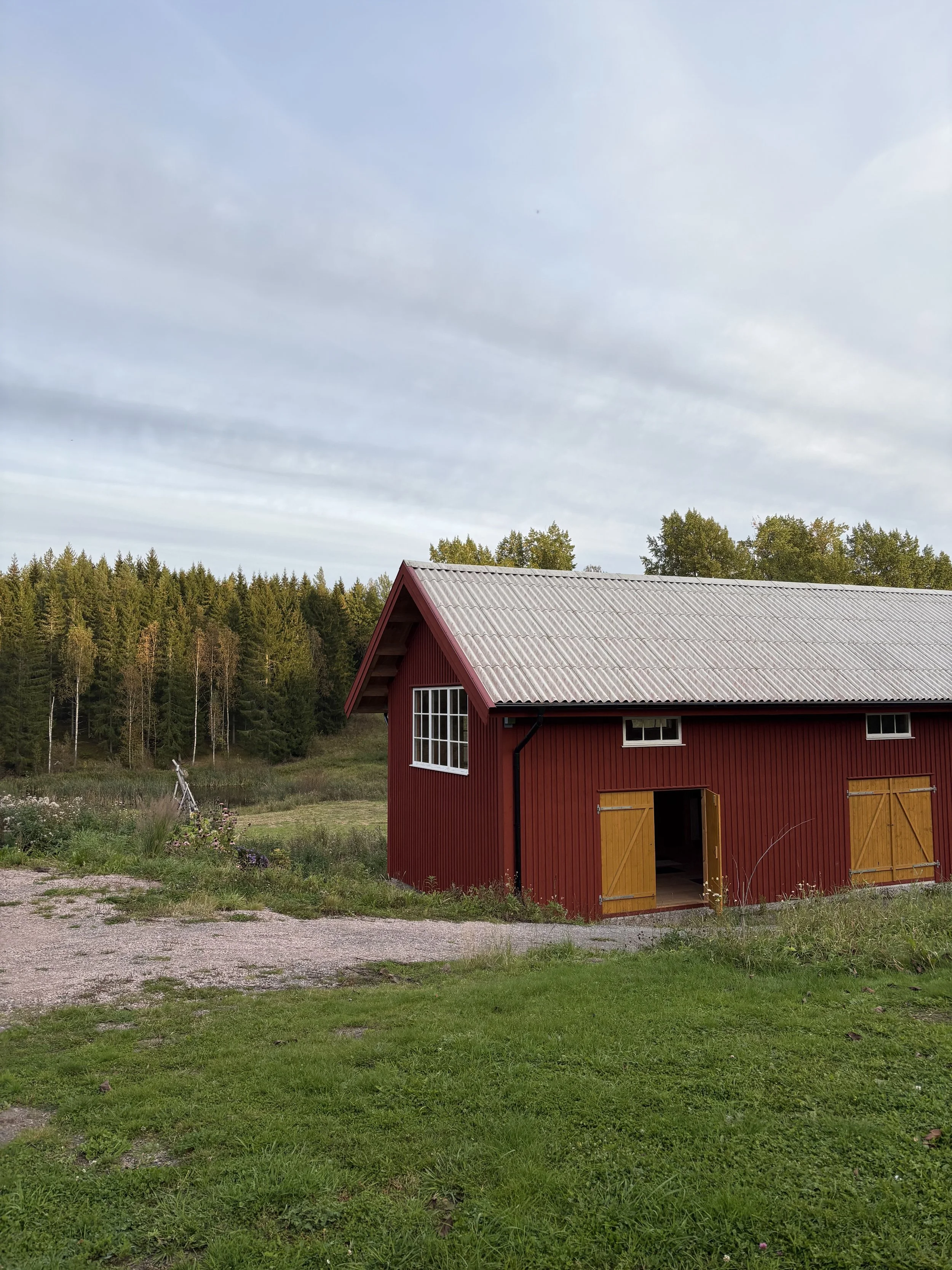 Copy of IMG_3542.jpeg