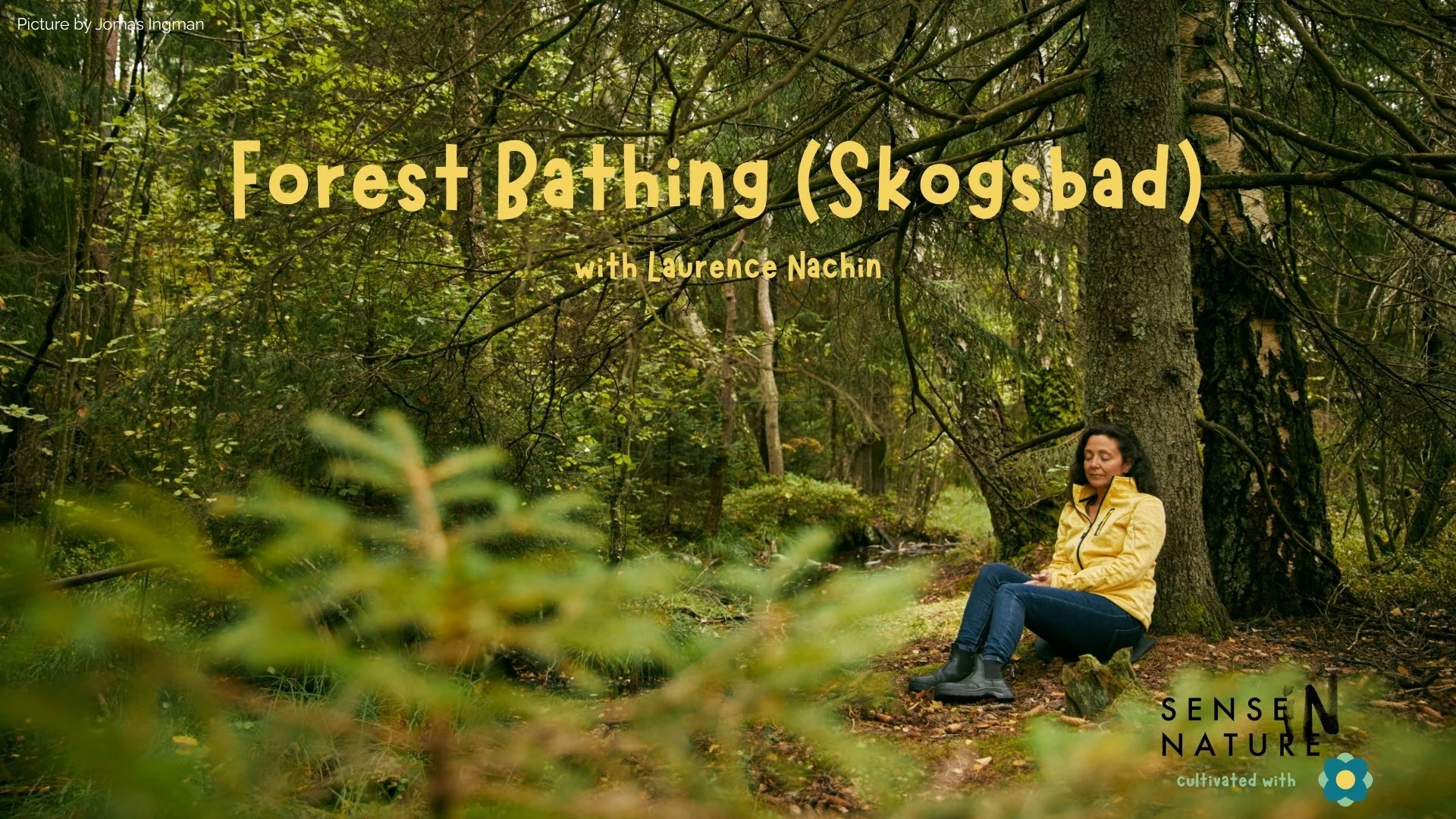 Forest Bathing (Skogsbad) with Laurence Nachin | 06/05