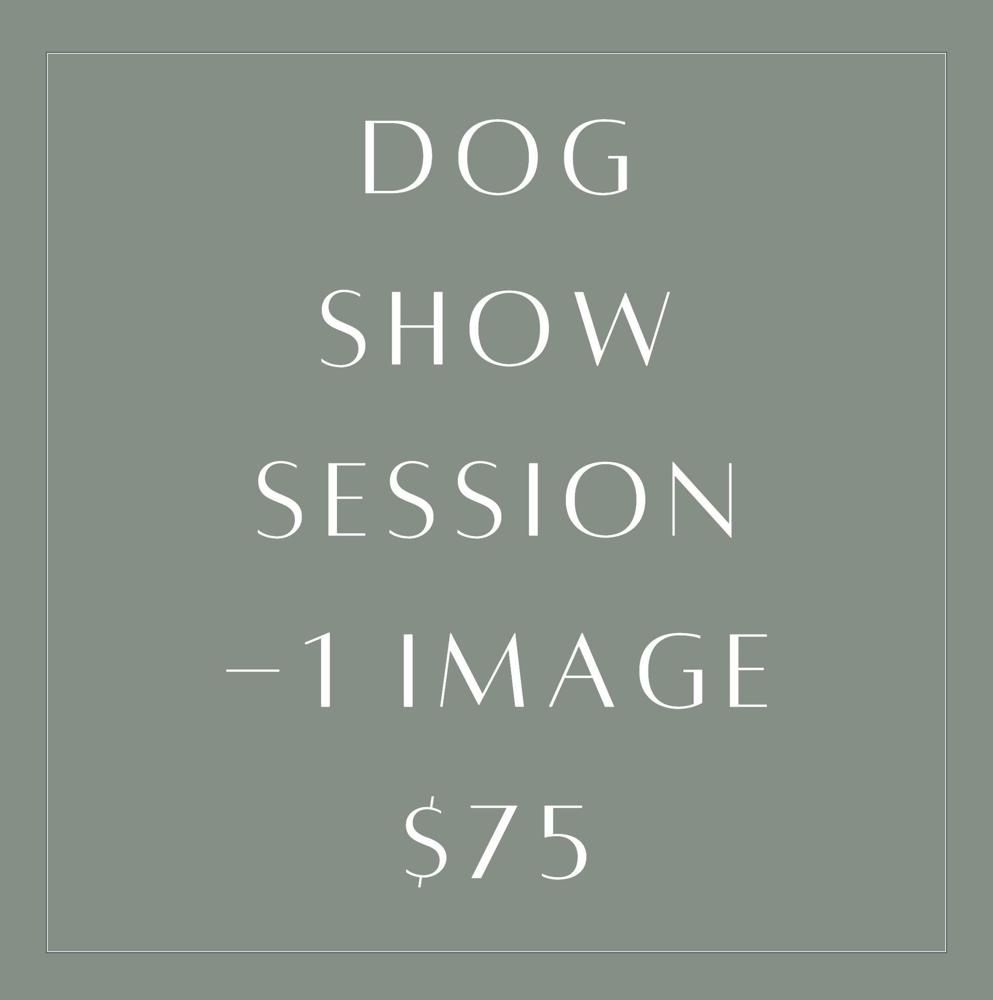 Dog Show Session- PER DOG