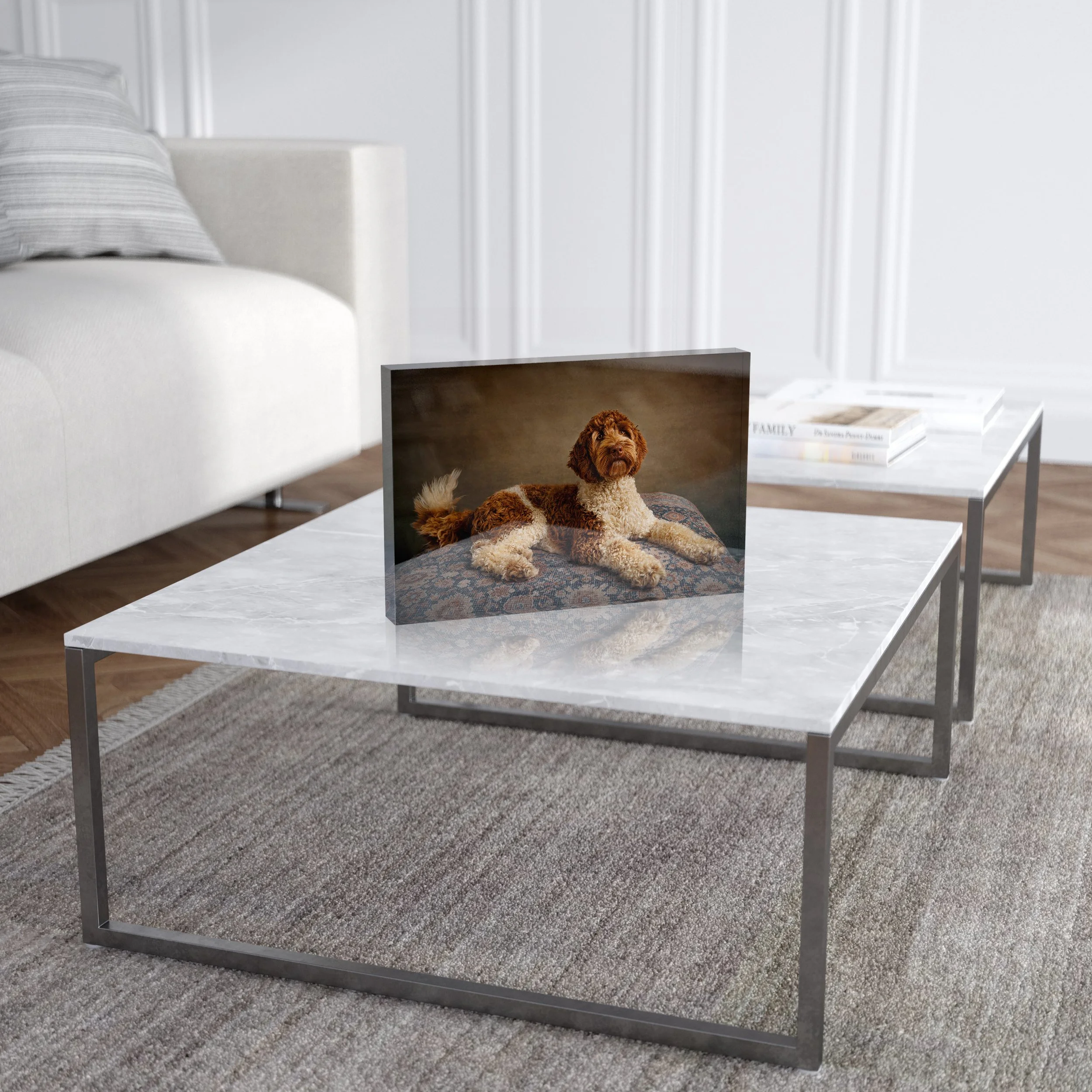 A small brown dog sitting on a round rug in front of a modern coffee table in a living room. The coffee table has a white marble top and metal legs. A stack of books and a TV are visible in the background.