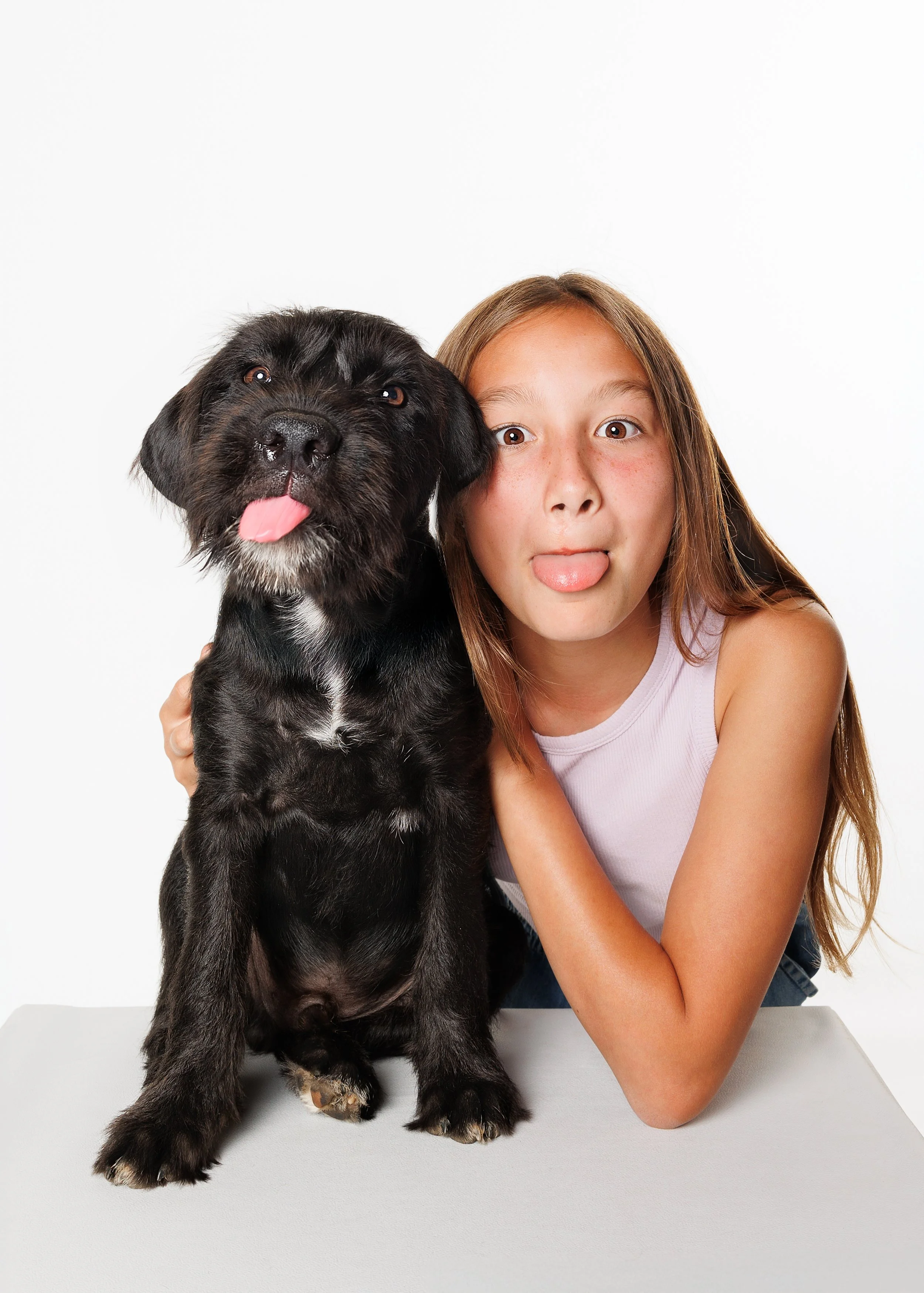A young girl and a black puppy playfully sticking out their tongues, sitting together against a white background photographed by Margaret River and Busselton dog photographer Fur & Fable Studio