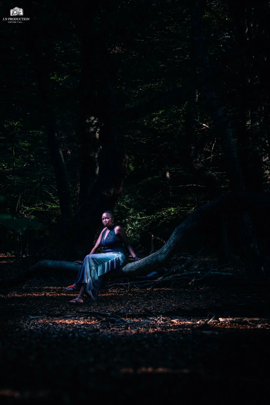 A woman sitting on a large tree branch in a dense, dark forest with limited light filtering through the leaves.