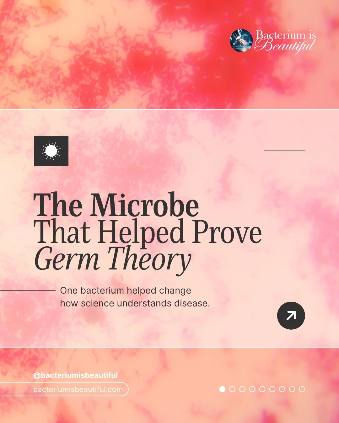 Some organisms do more than cause disease. They change how we understand biology.

Research on Bacillus anthracis helped demonstrate that specific microbes cause specific diseases, forming the foundation of modern microbiology and germ theory. The sa