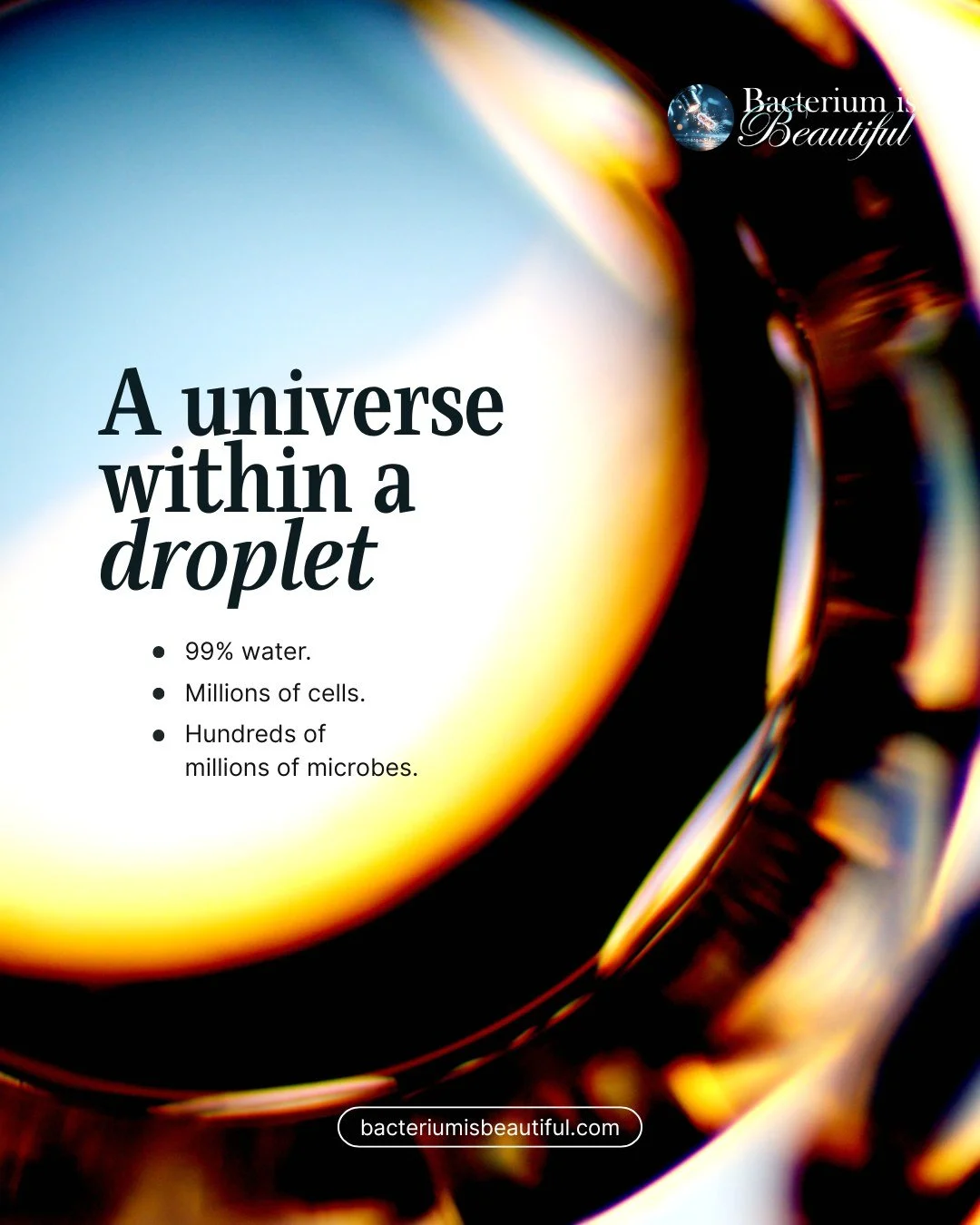 A Universe Within a Droplet 🔬

What appears clear to the eye contains millions of human cells and hundreds of millions of microbes. Saliva is not empty. It is structured, inhabited, alive.

Perspective begins with magnification.

Explore the Human S