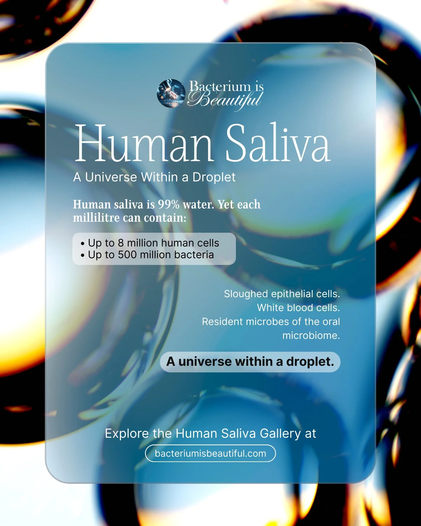 Beyond Slides.
Beyond Stains.
Beyond Simplification.

Microbiology without abstraction.
Structure as it truly exists.

Explore the full collection at 
www.bacteriumisbeautiful.com

#bacteriumisbeautiful #microbiology #petriart #labvisuals #sciencecom