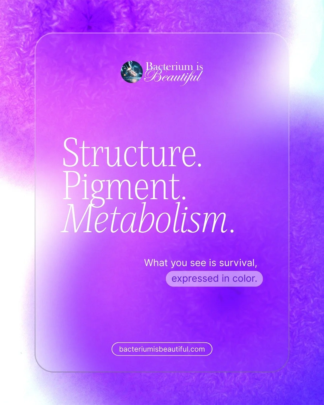 Beyond Slides.
Beyond Stains.
Beyond Simplification.

Microbiology without abstraction.
Structure as it truly exists.

Explore the full collection at 
www.bacteriumisbeautiful.com

#bacteriumisbeautiful #microbiology #petriart #labvisuals #sciencecom