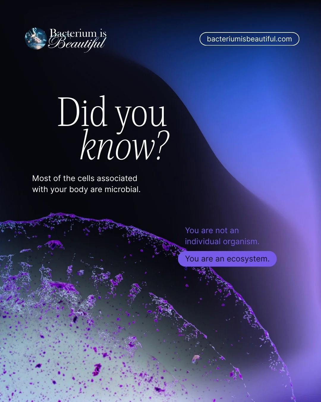 Did you know? 🔬

Most of the cells associated with your body are microbial. They support digestion, influence immunity, and help maintain balance within you.

You are not separate from the microbial world. You are shaped by it. You are an ecosystem 
