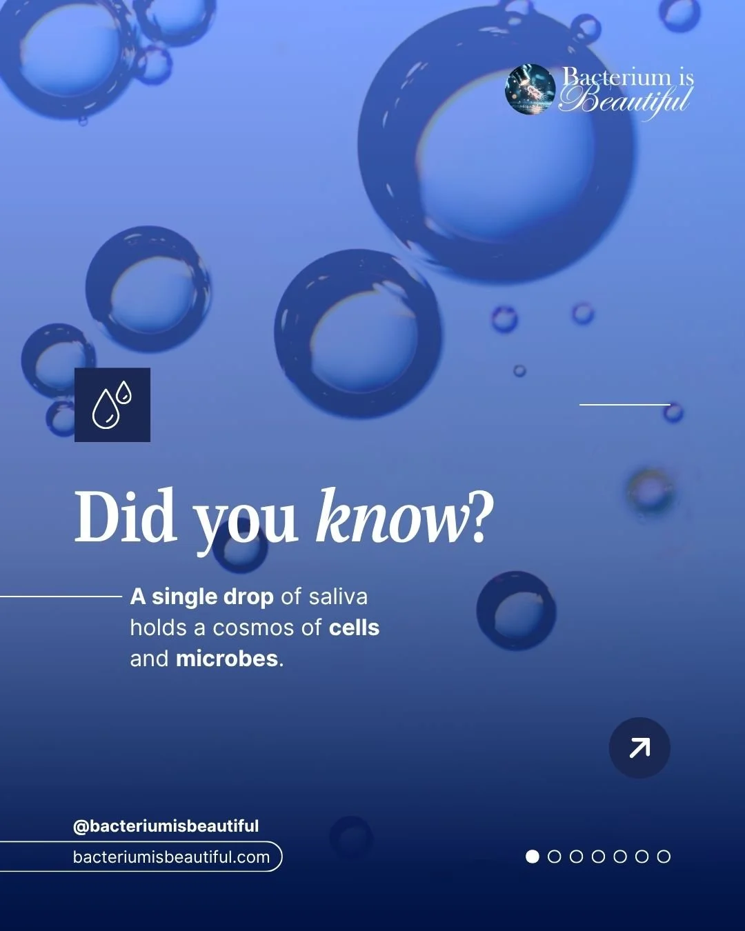 A universe within a droplet. The closer we look, the more ordinary things become extraordinary. 🔍

Saliva is far more than moisture; it is a sophisticated chemical laboratory. 🧪 While enzymes begin the hard work of digestion, antibacterial agents a