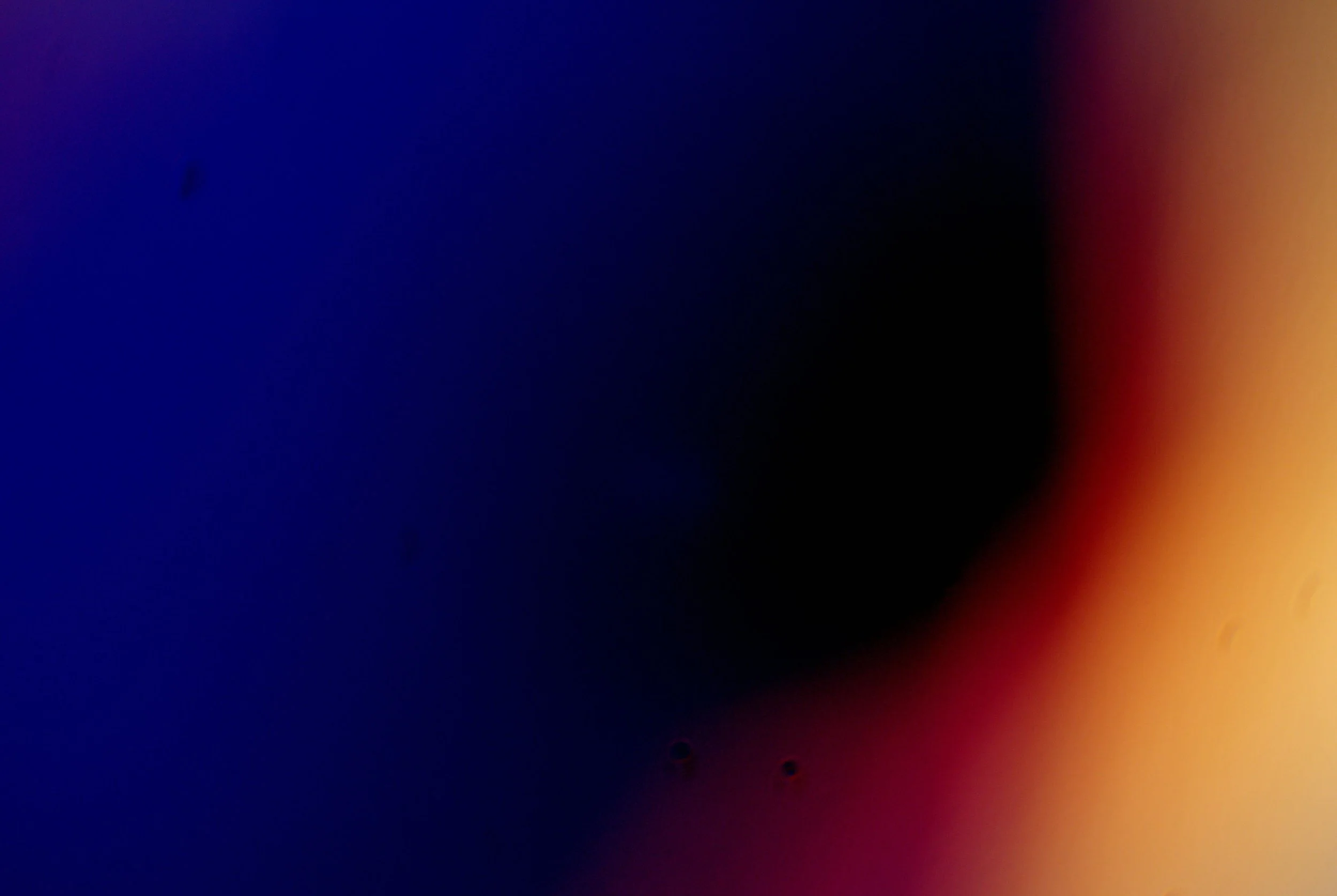 bacilus anthracis20251216235324592.jpg