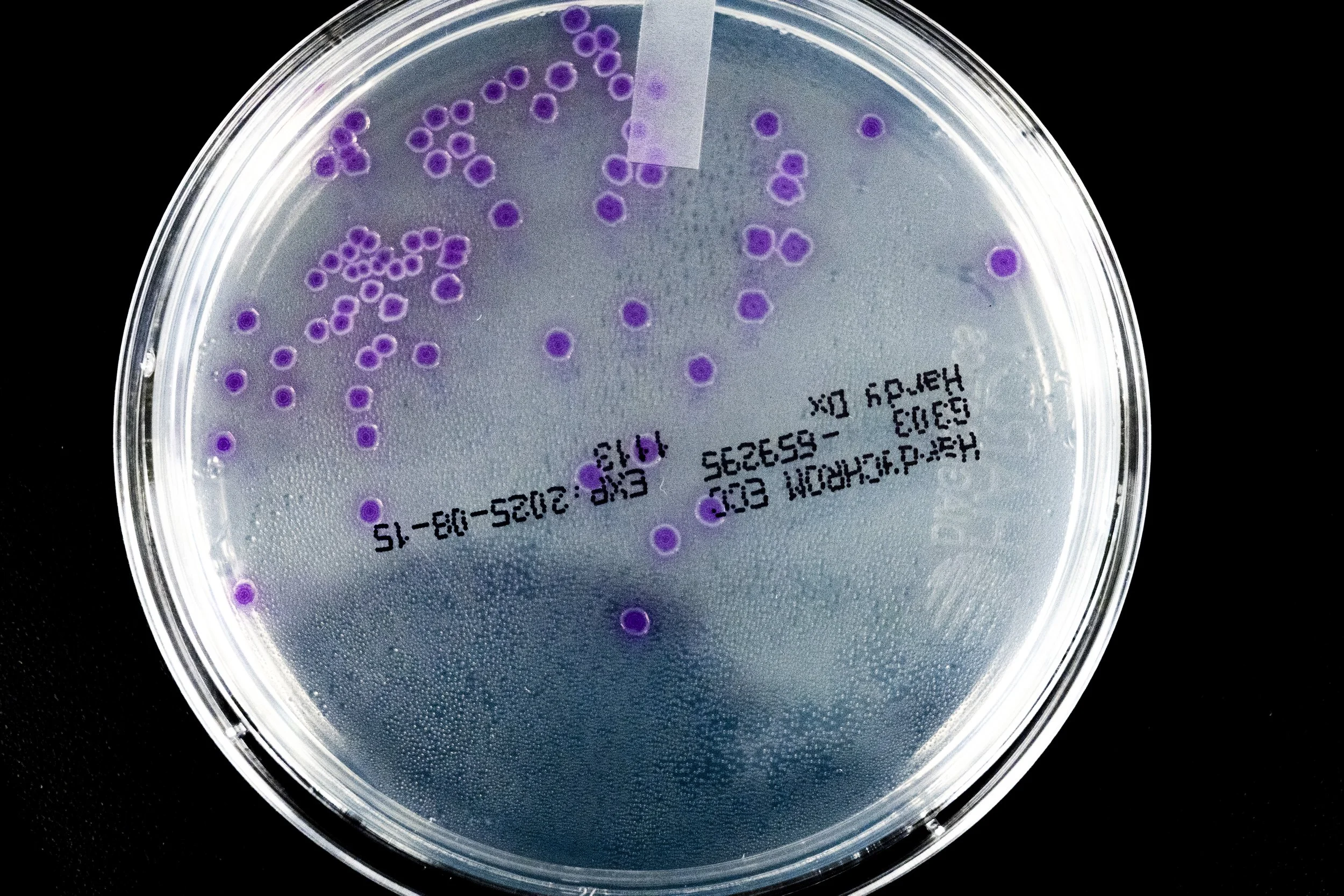 Pathogen Test_16.jpg