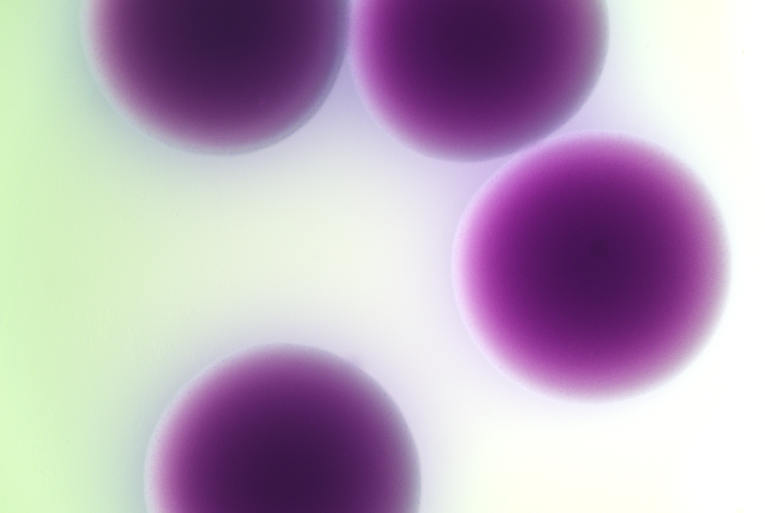 0003.png