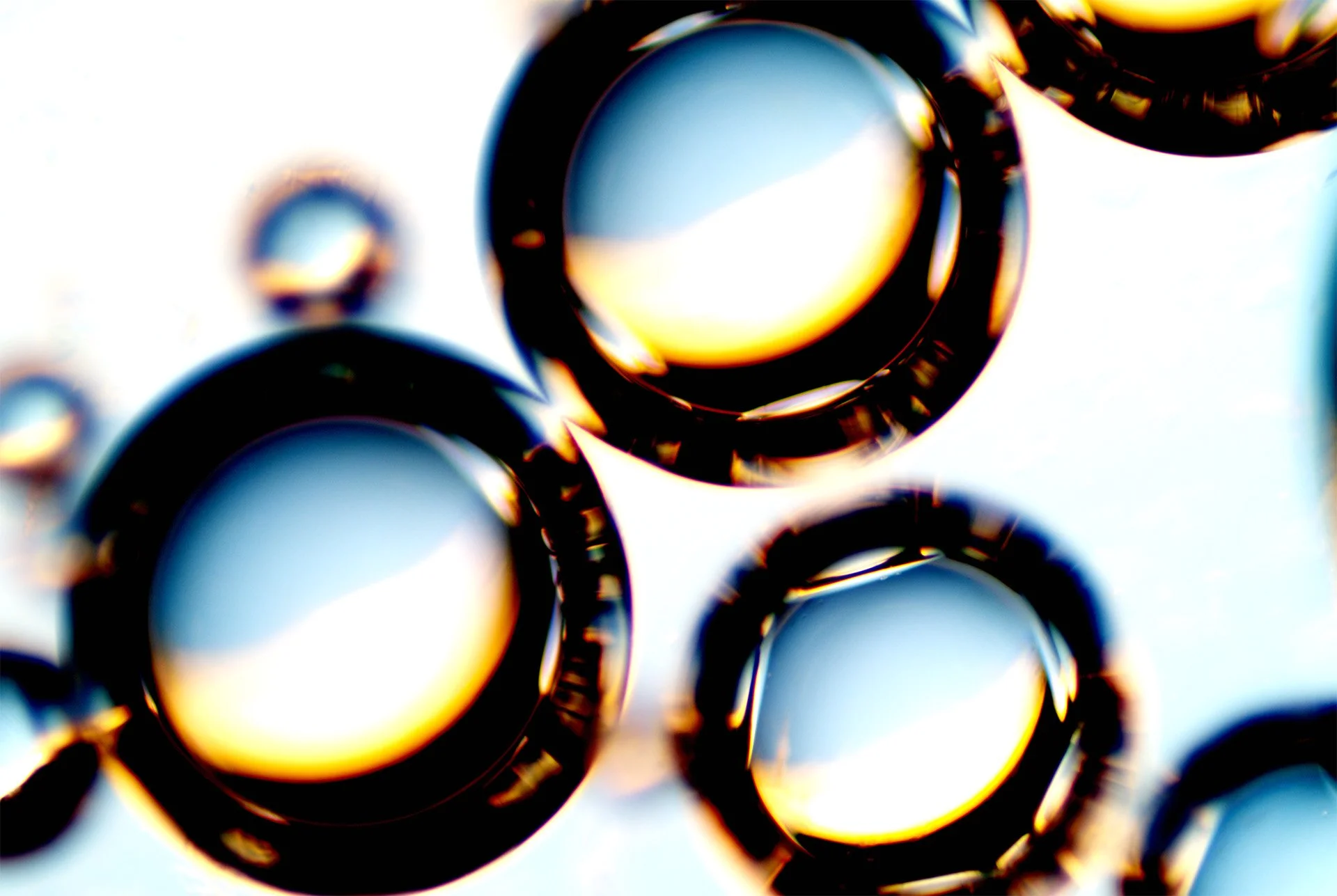 human saliva (3).jpg