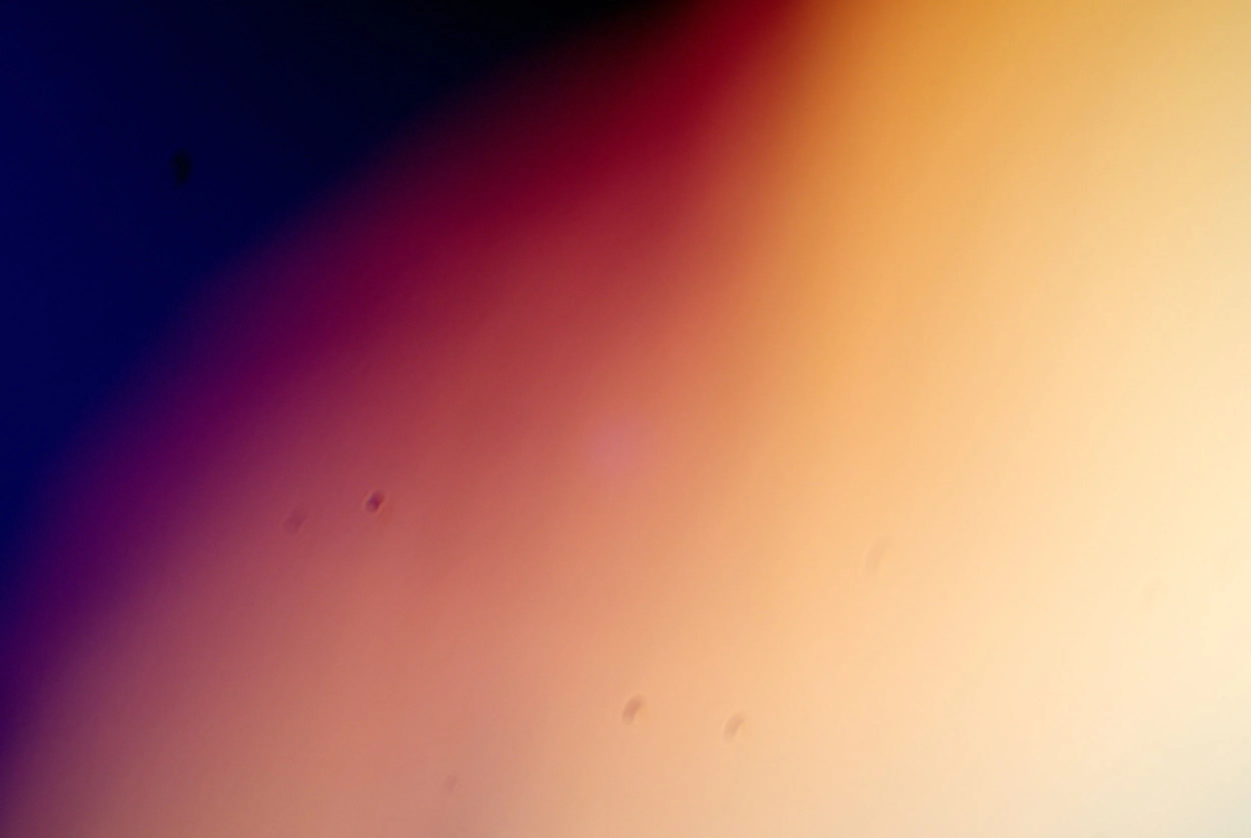 bacilus anthracis20251216235333797.jpg