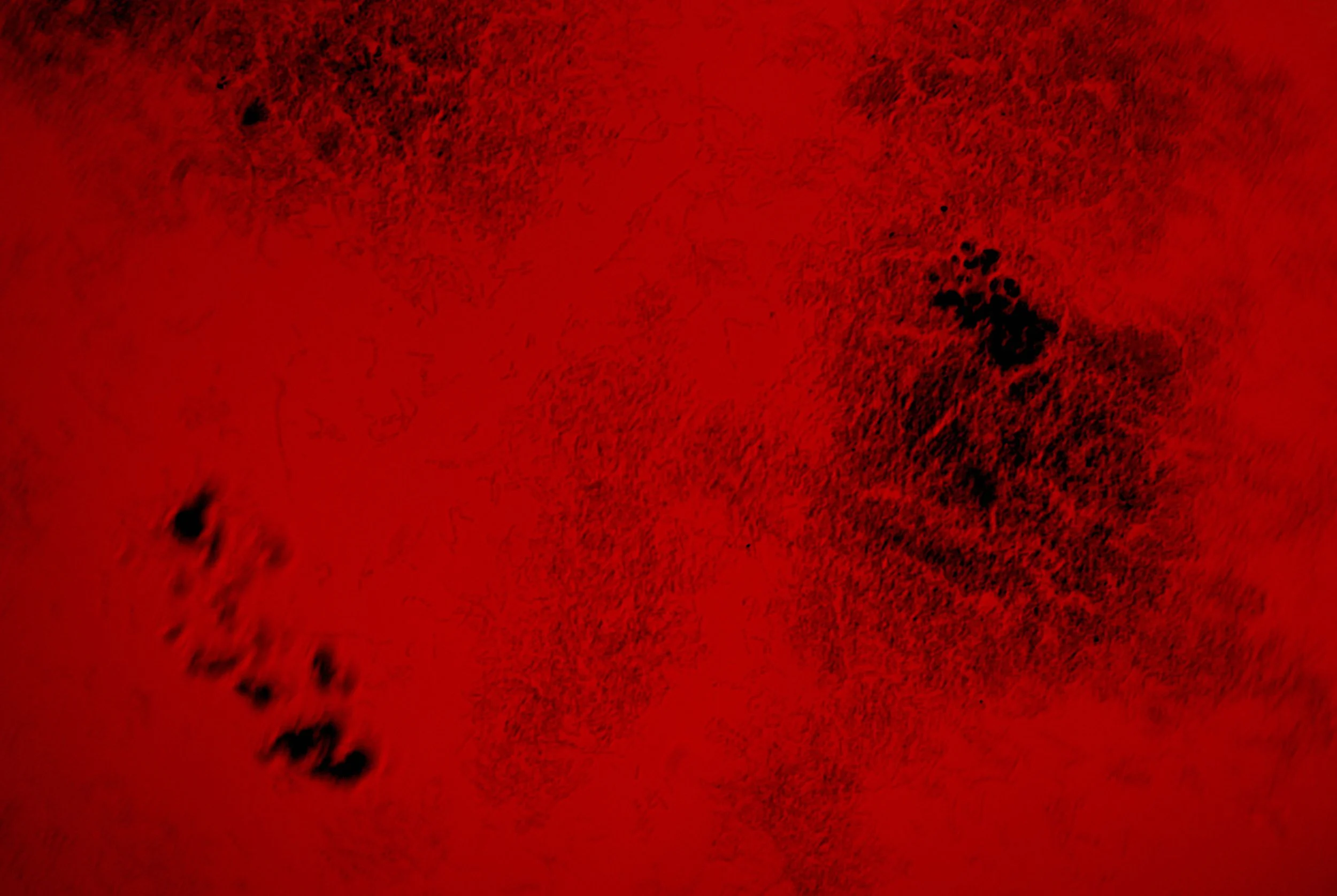 bacilus anthracis20251216233855178.jpg