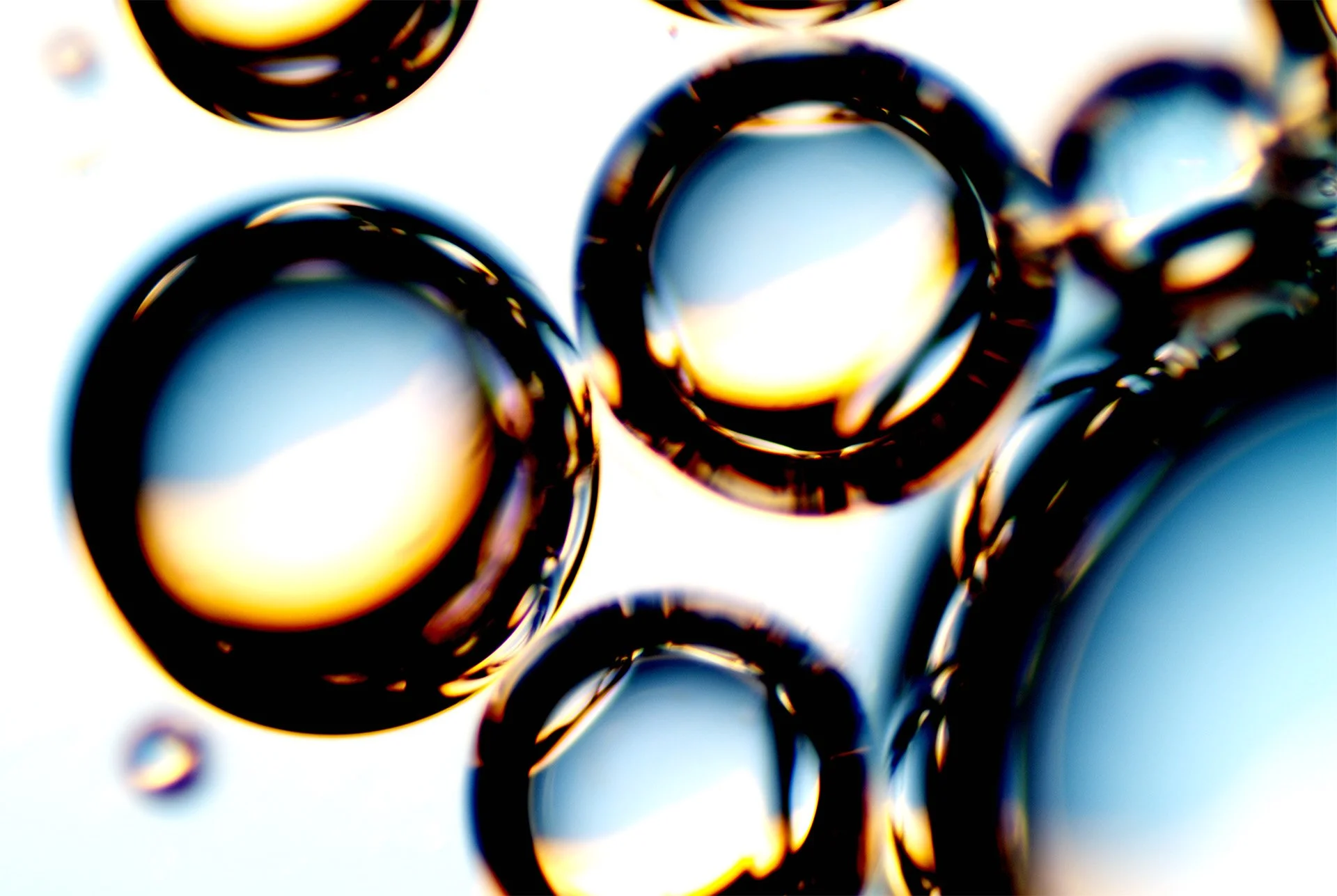 human saliva (4).jpg