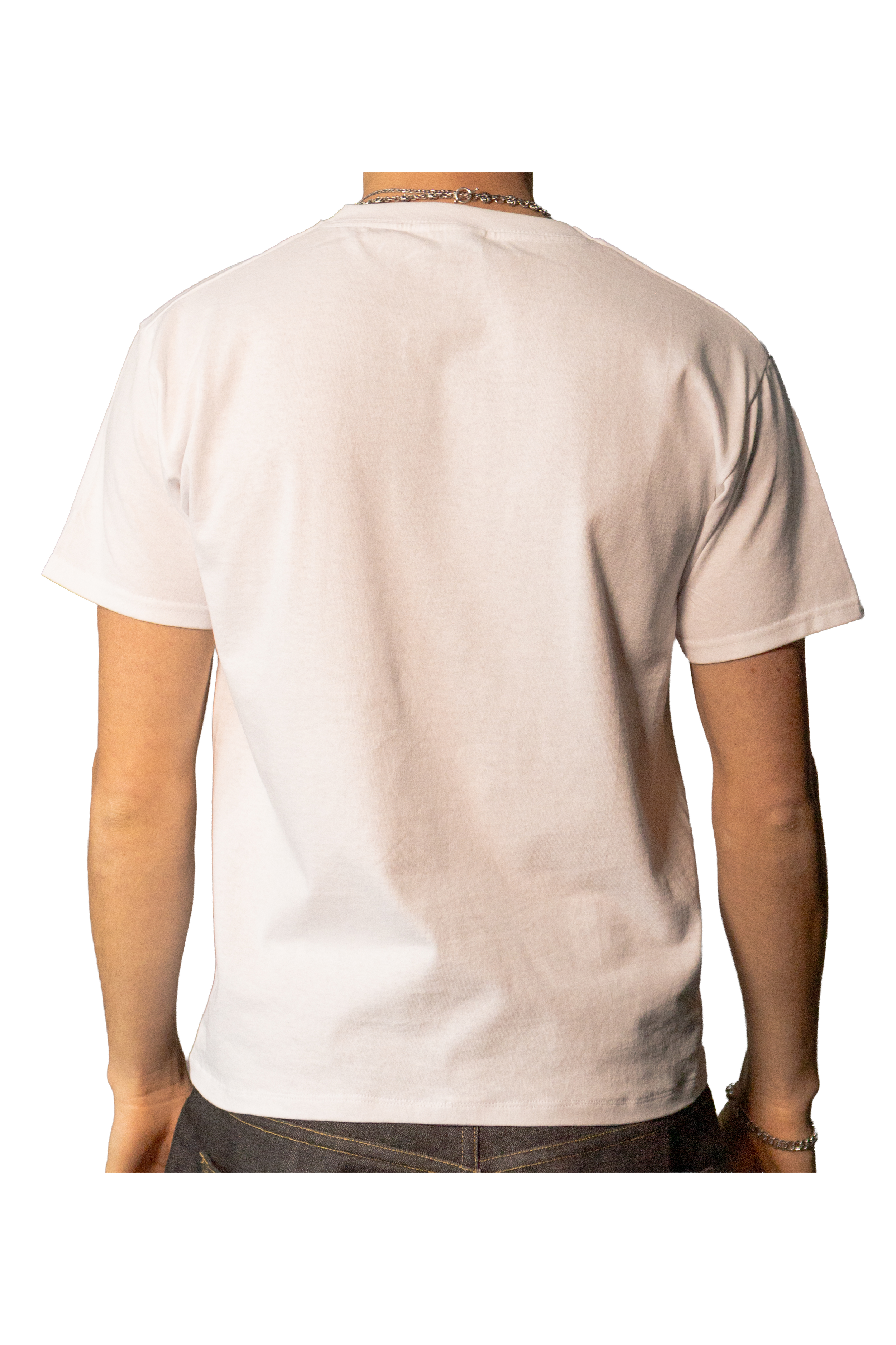 T3 web closeup back.png