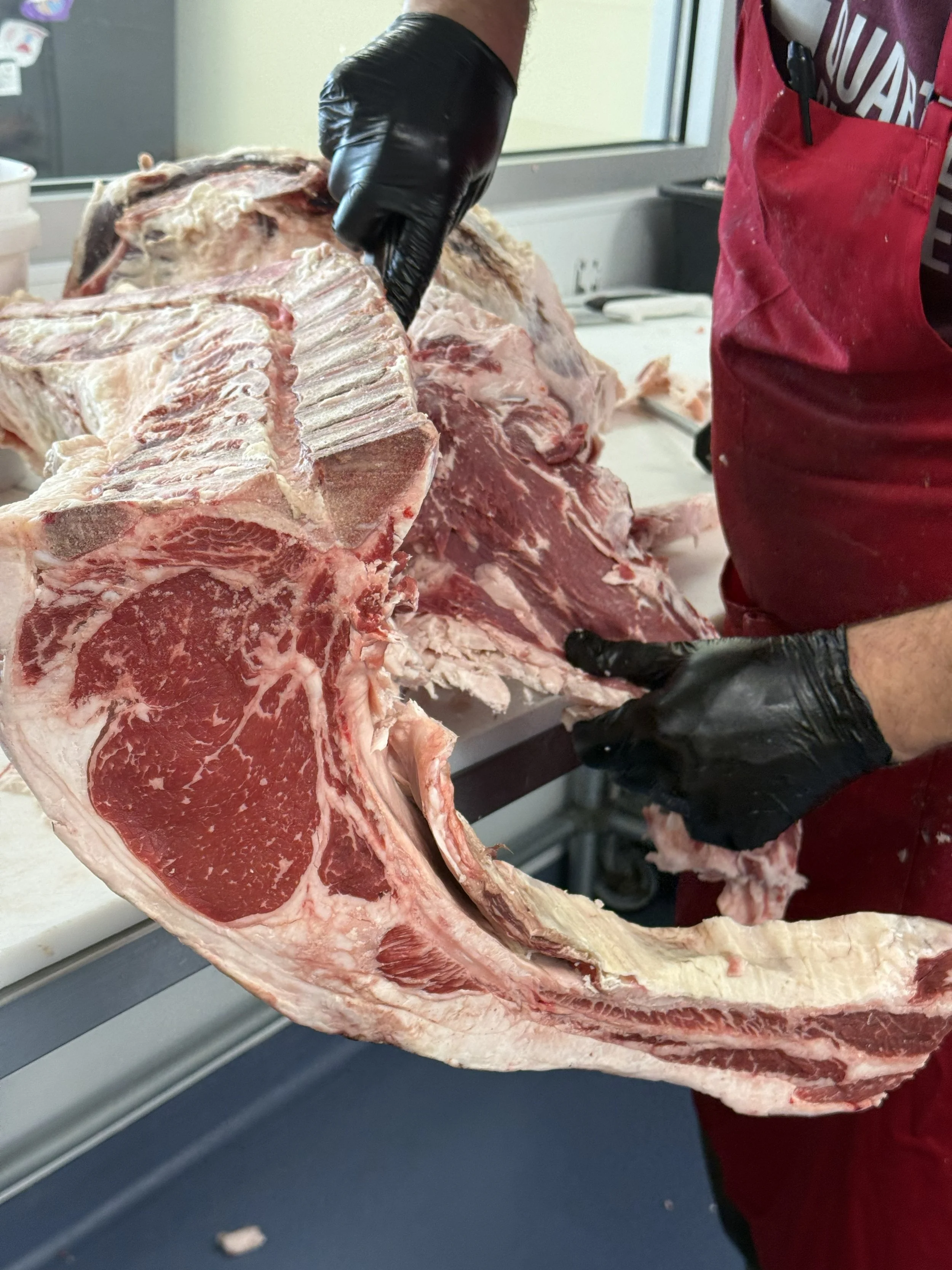 Butcher cutting large side of beef.