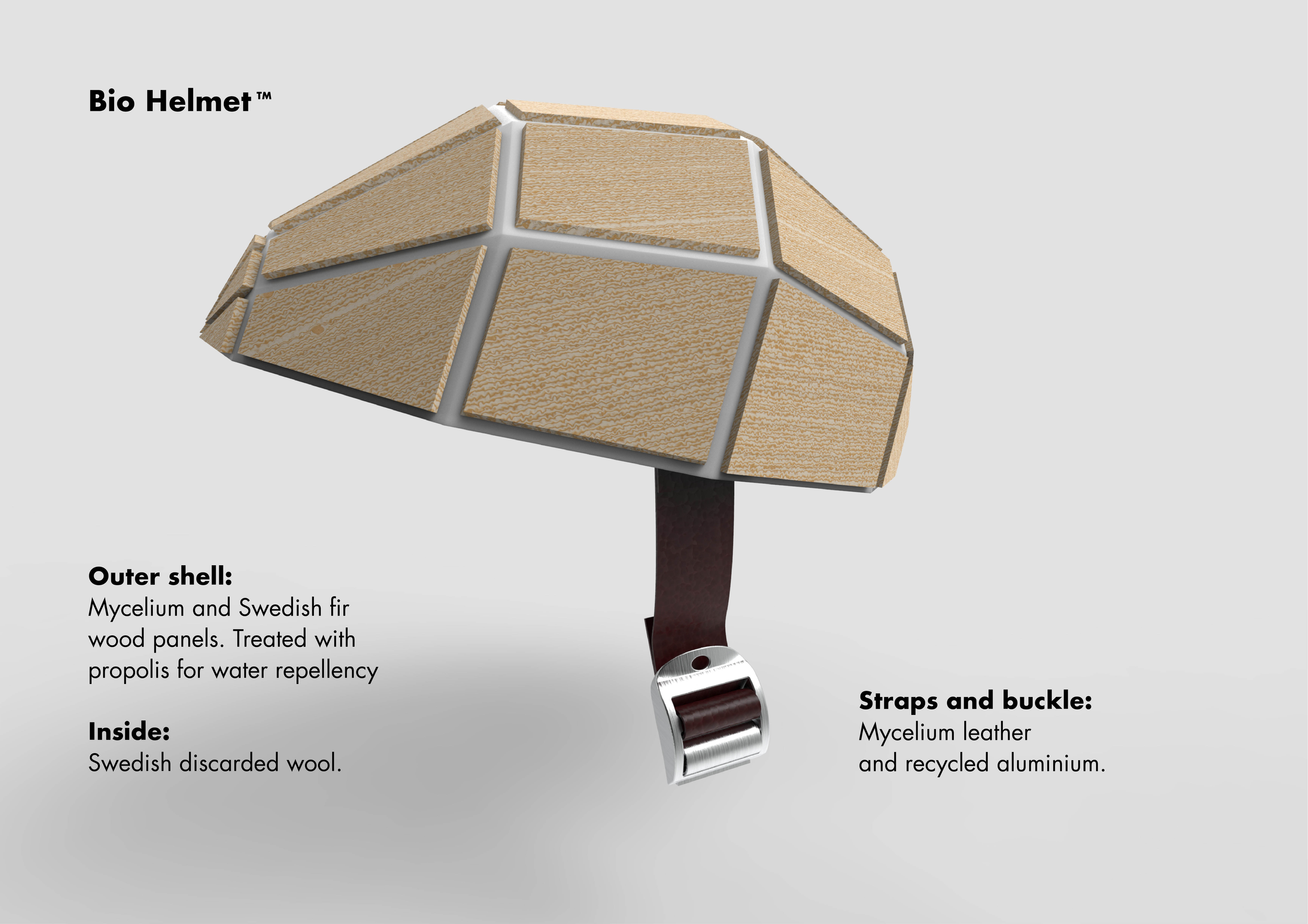 grupp_1_presentation_ecobranding6.png