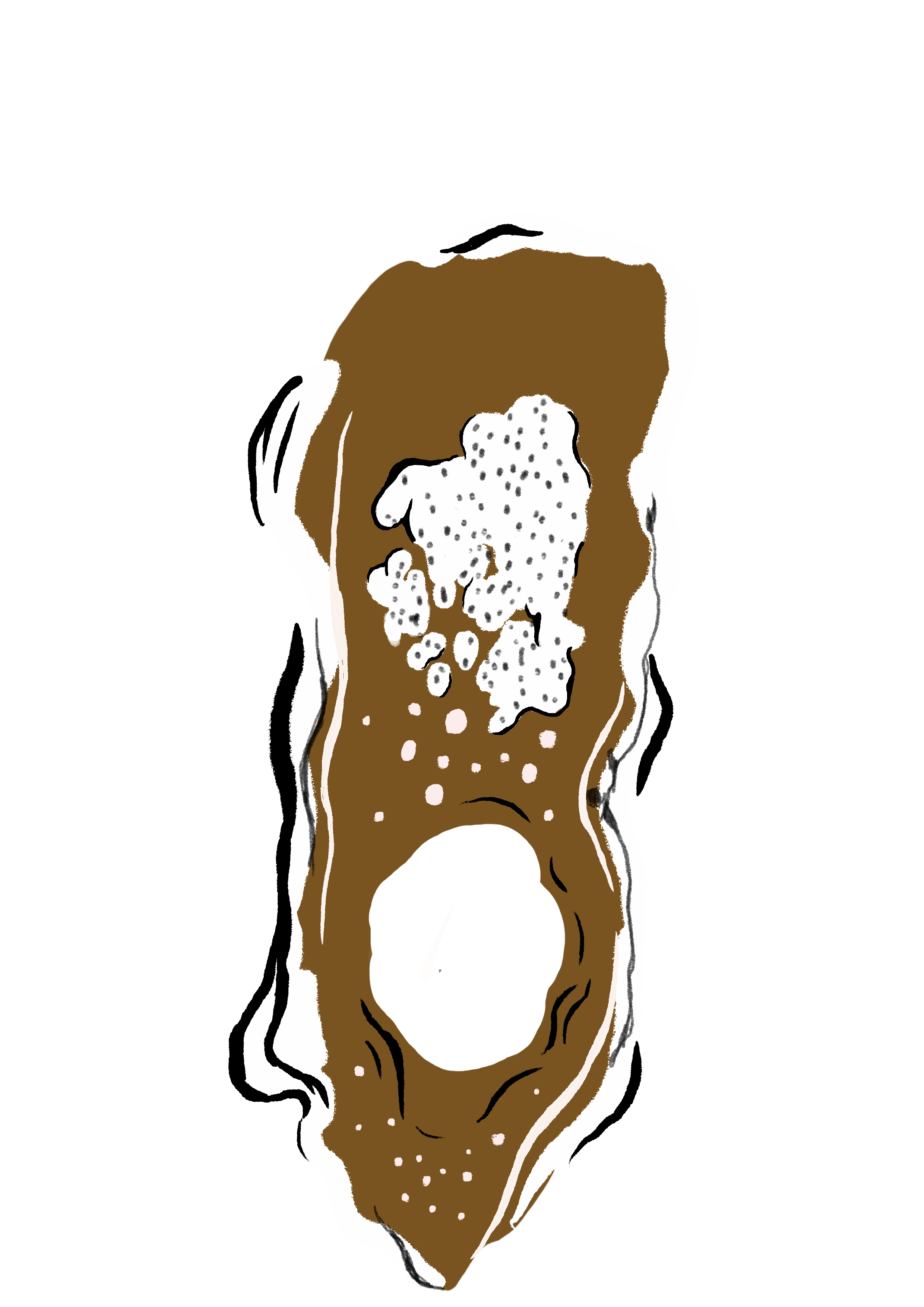 Untitled_Artwork 6 (kopia 3).png