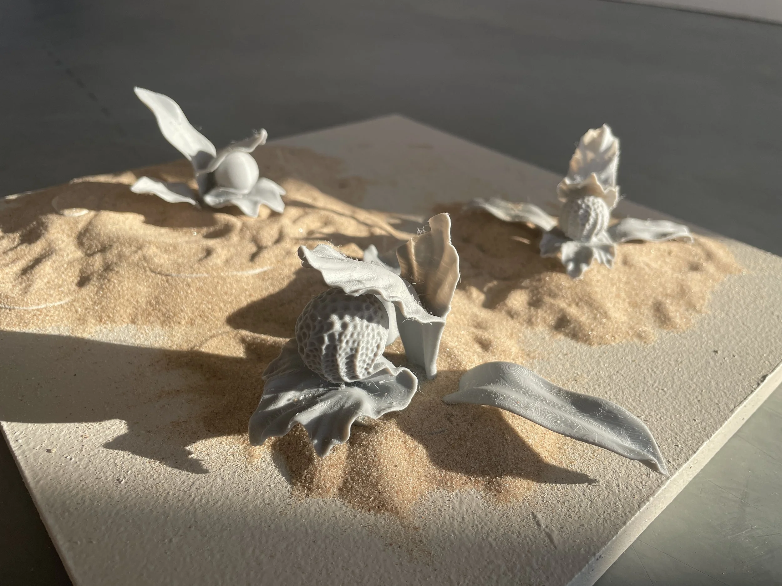 generationerna vacancy JPG.JPG