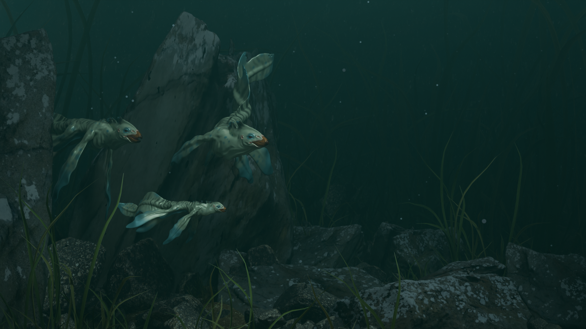 family fish 2.png
