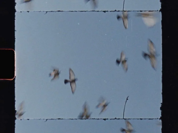 SNOWY - SEZZIN

Dir/Prod @lukeradford_ 
DP @will_price_dop 
Edit @lockup_rec

@snowski667
@emily__damyan