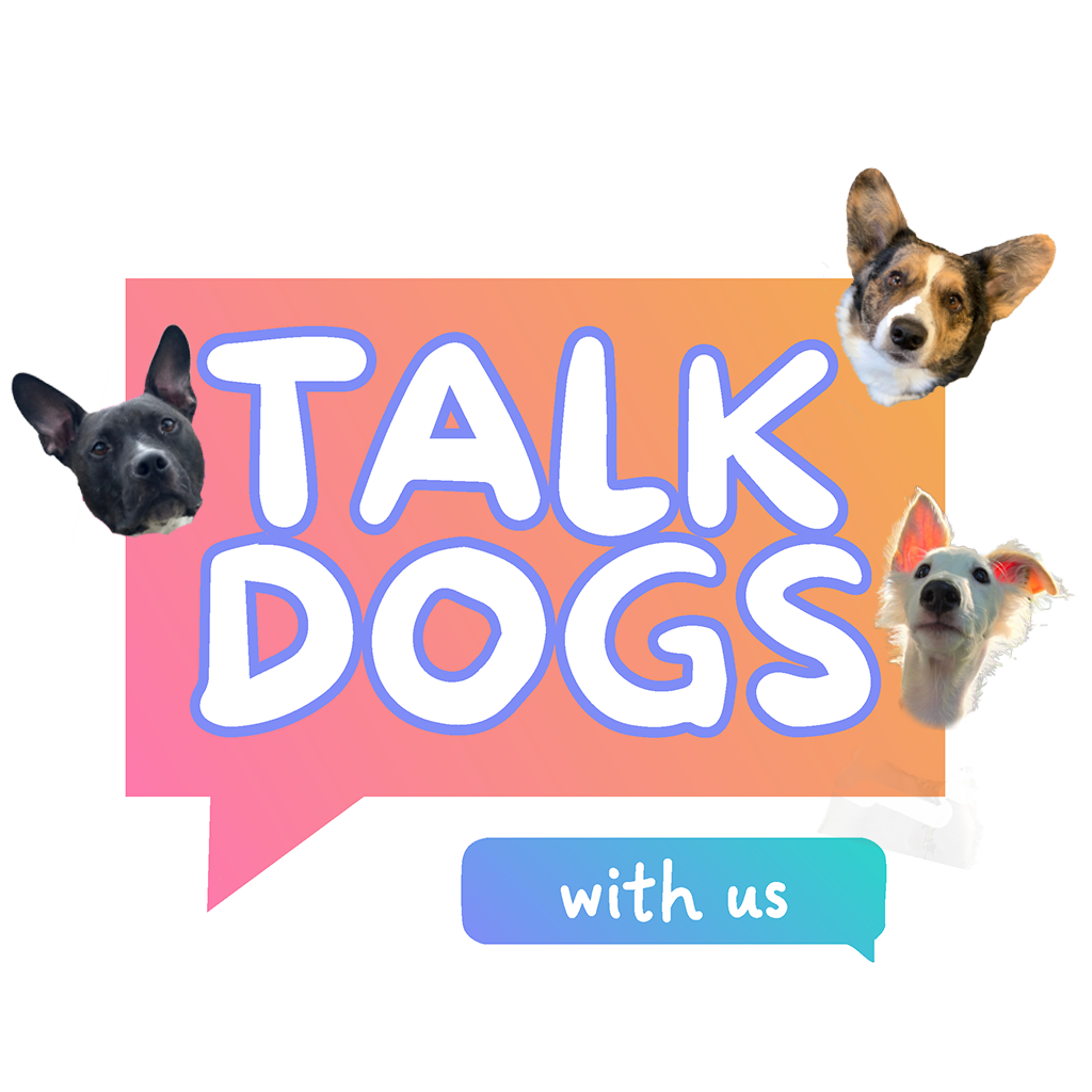 Talk Dogs With Us