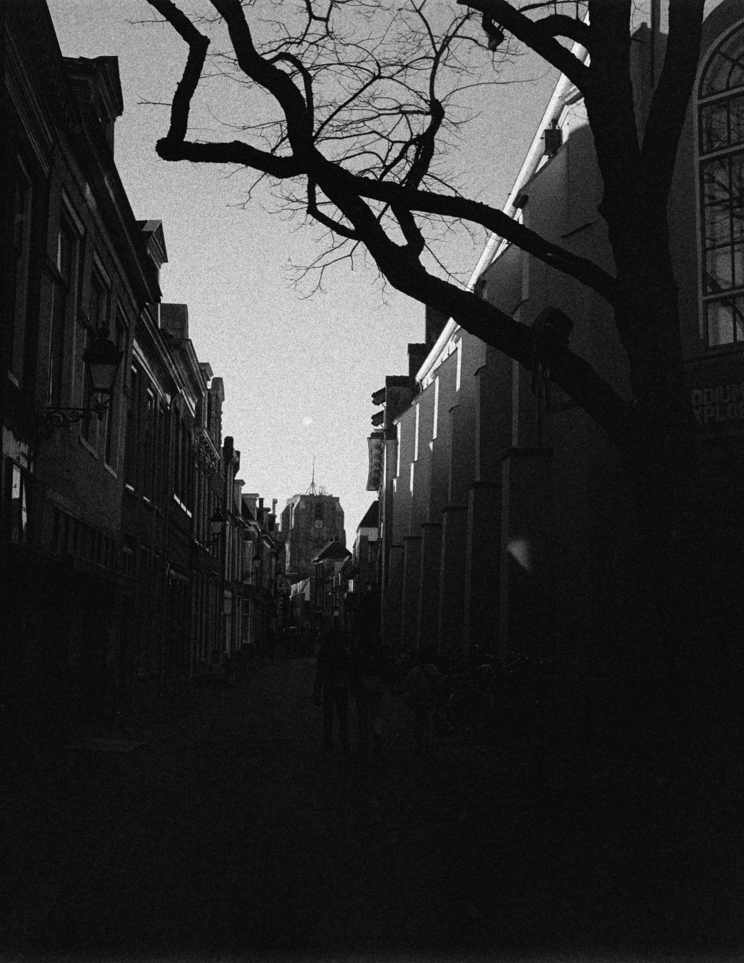 Gerben Vernhout--DSC00058.JPG