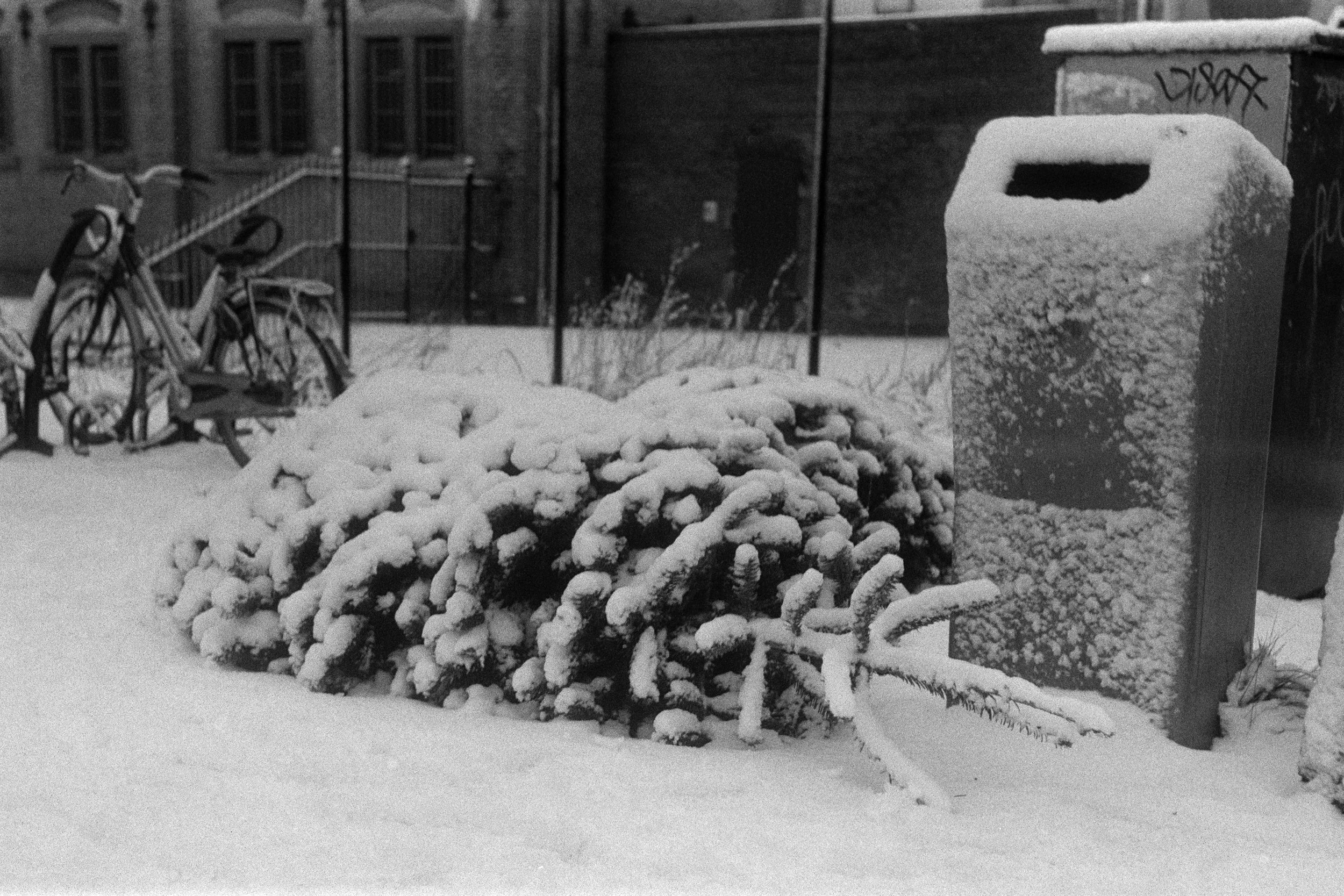 Gerben Vernhout--DSC00037.JPG