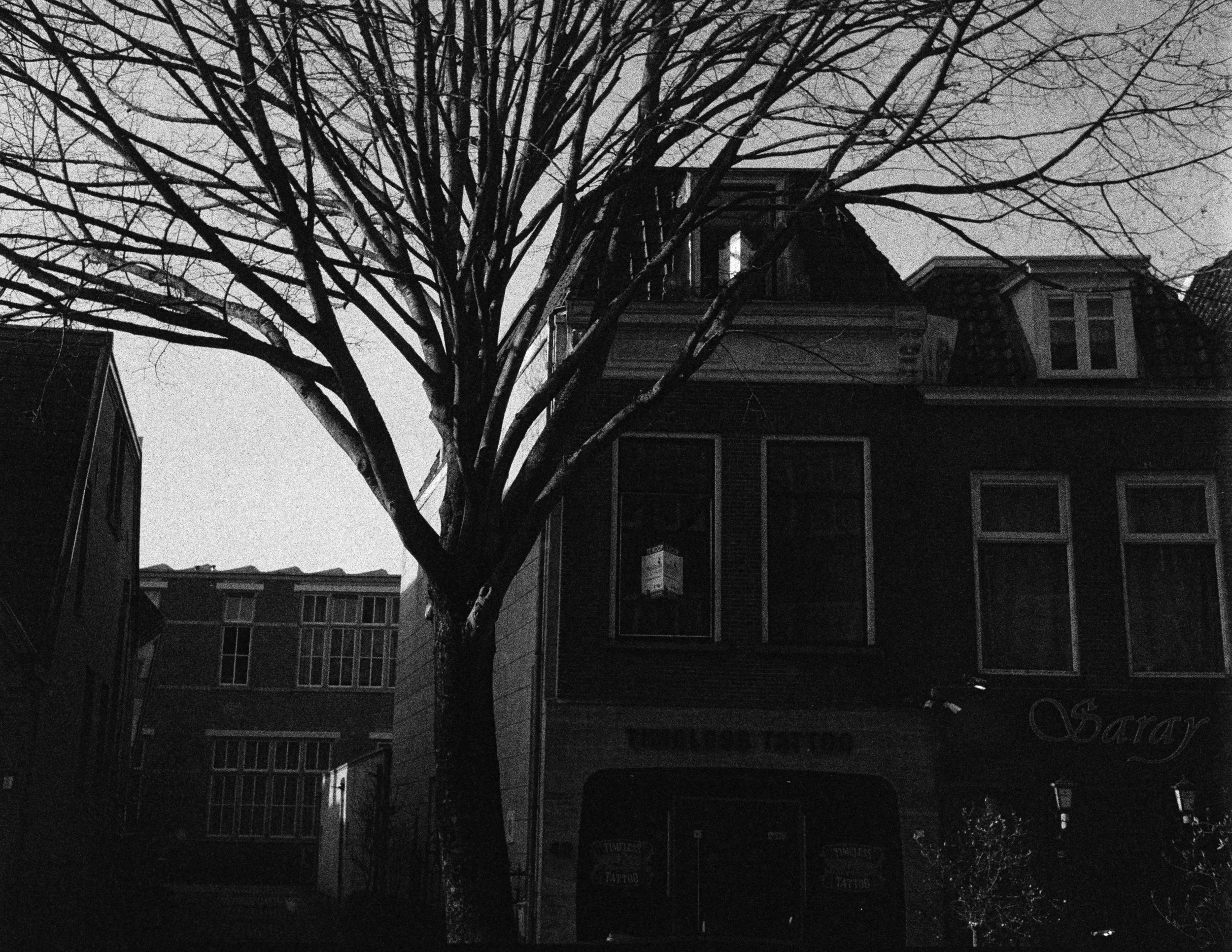 Gerben Vernhout--DSC00015.JPG