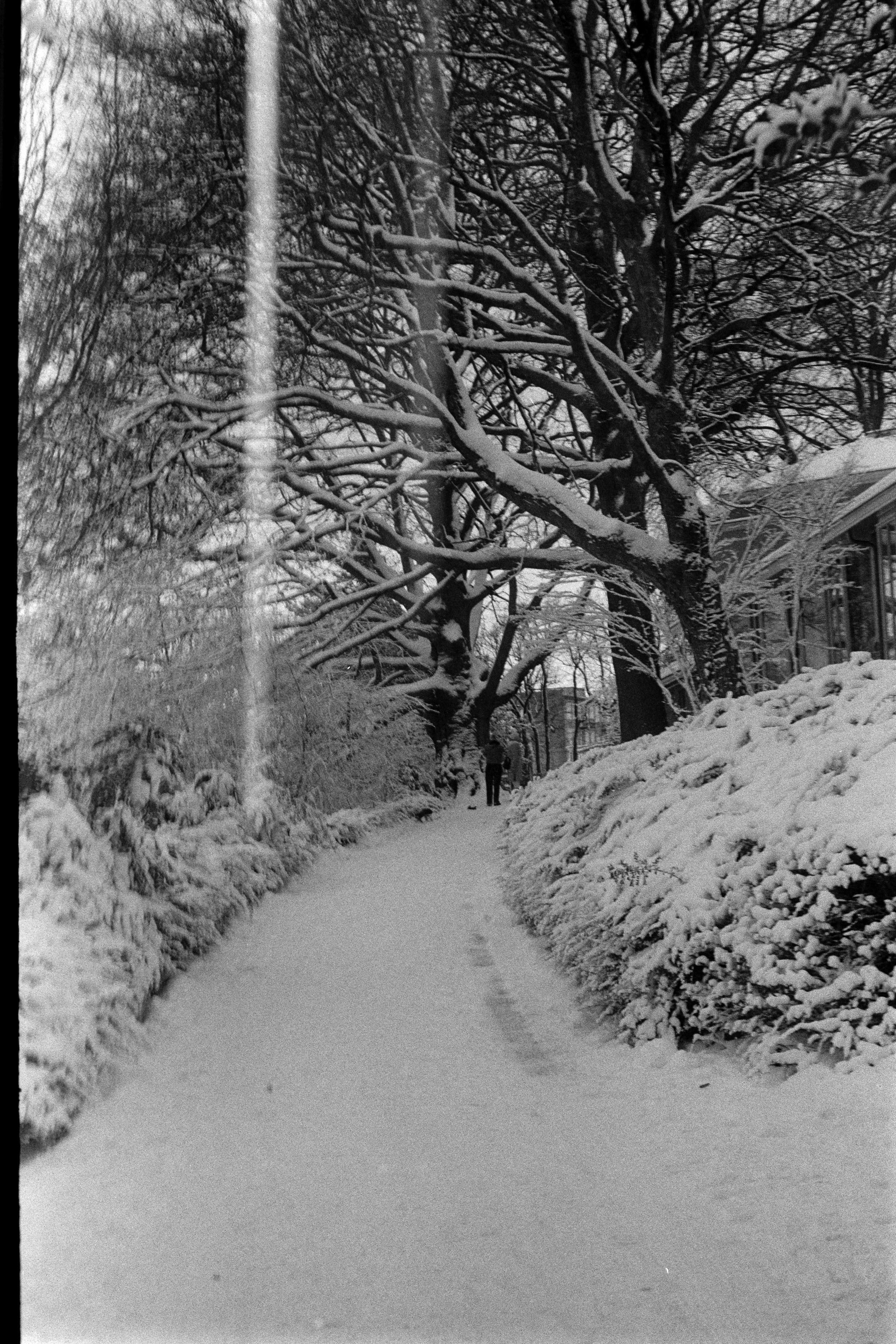 Gerben Vernhout--DSC00015.JPG