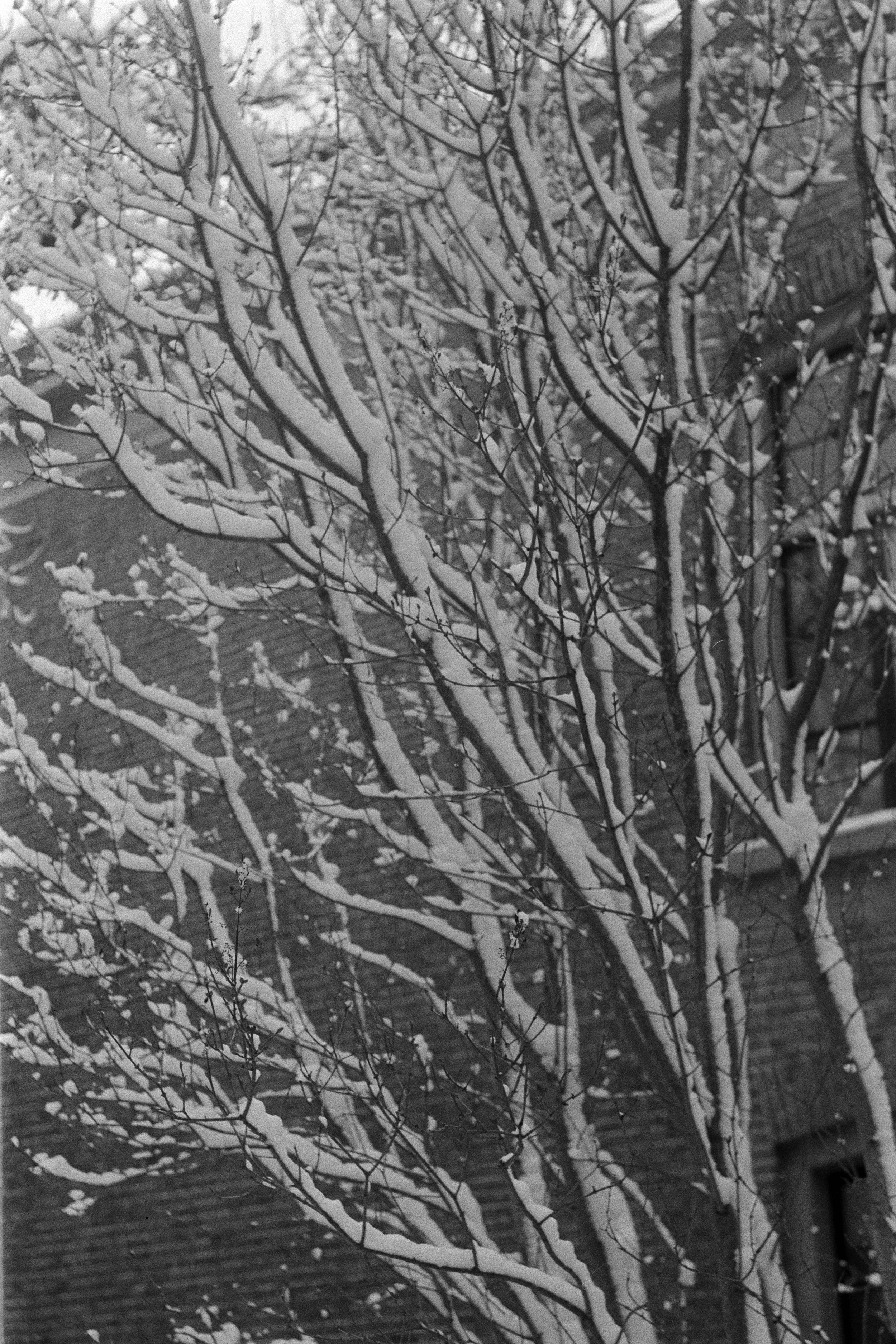 Gerben Vernhout--DSC00004-2.JPG