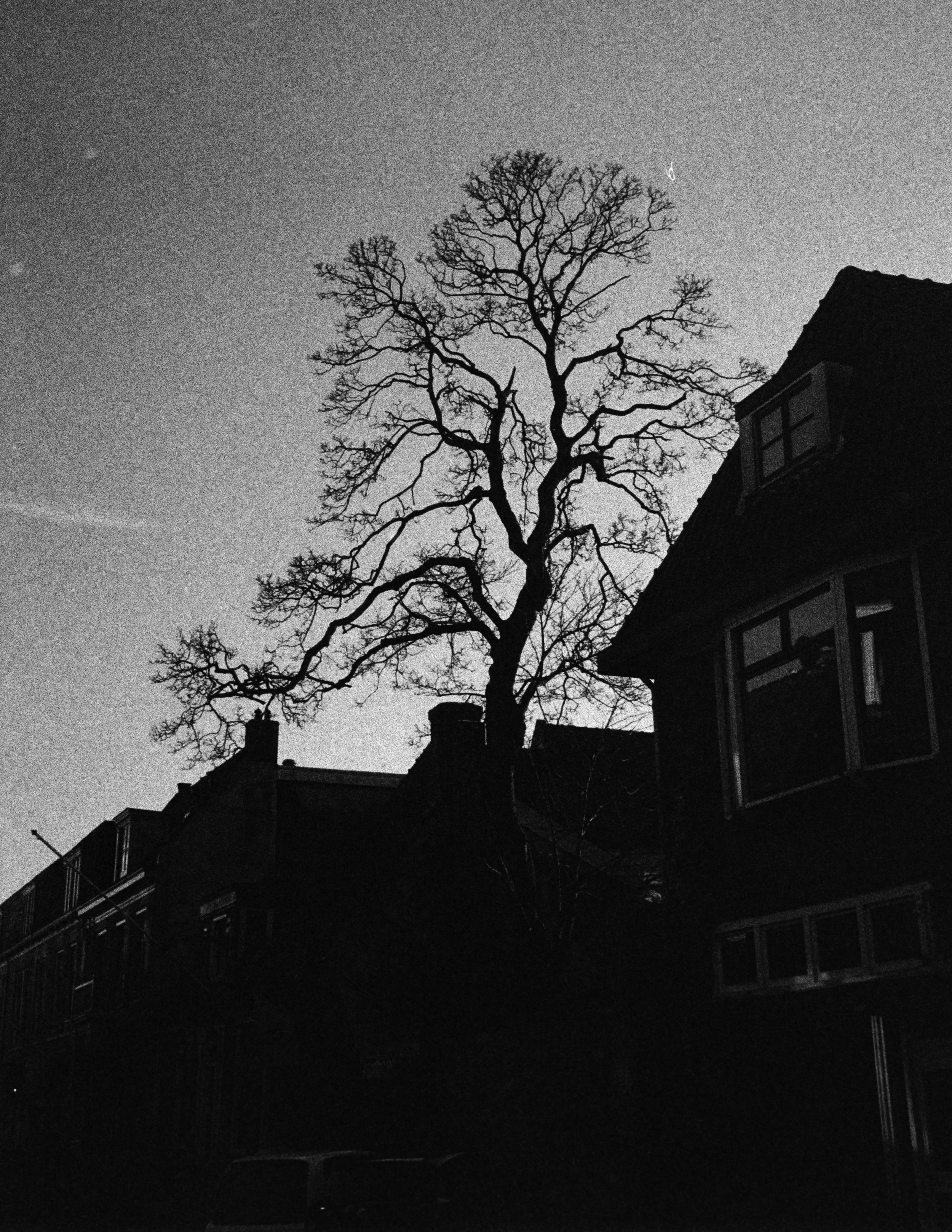 Gerben Vernhout--DSC00057.JPG