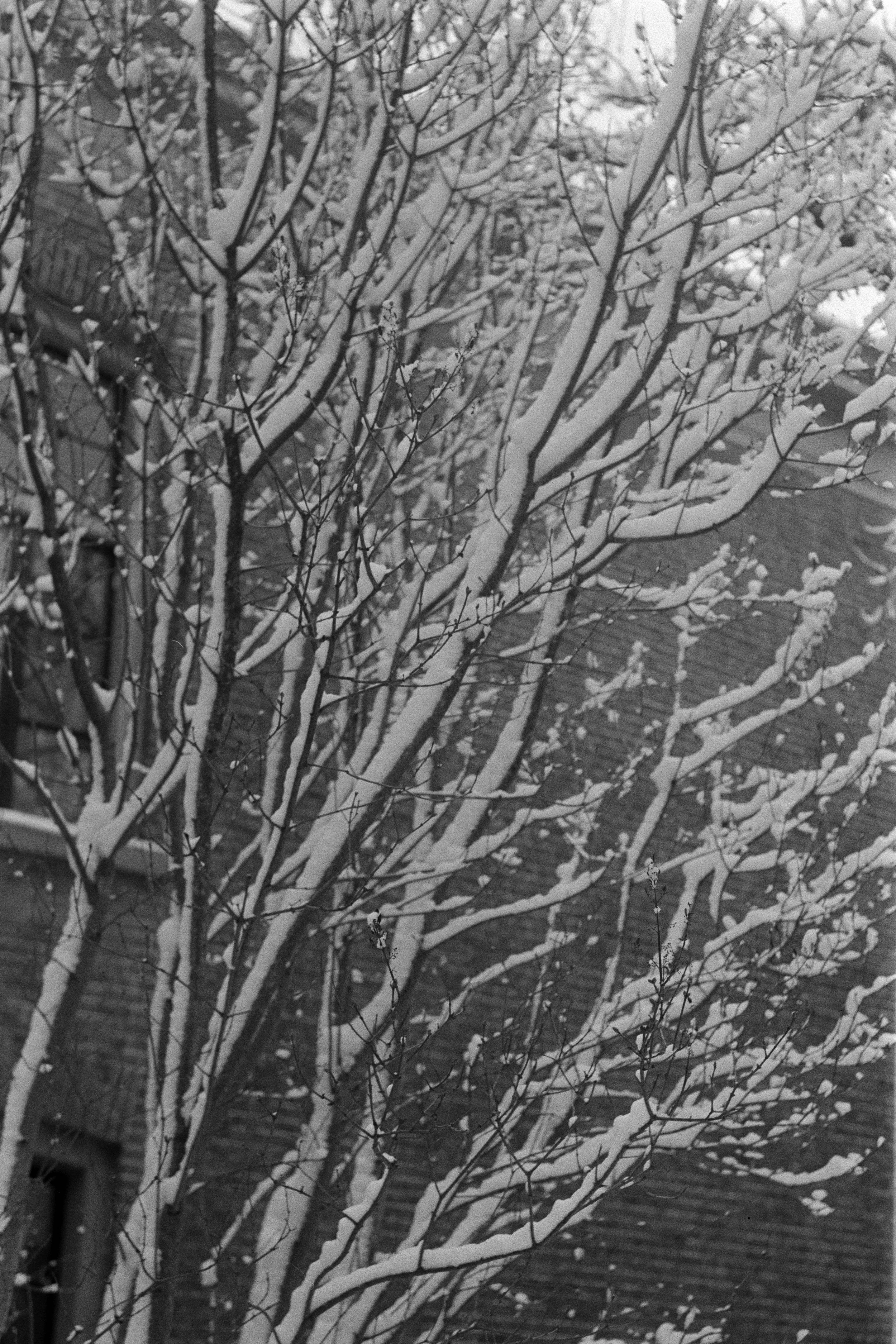 Gerben Vernhout--DSC00004.JPG