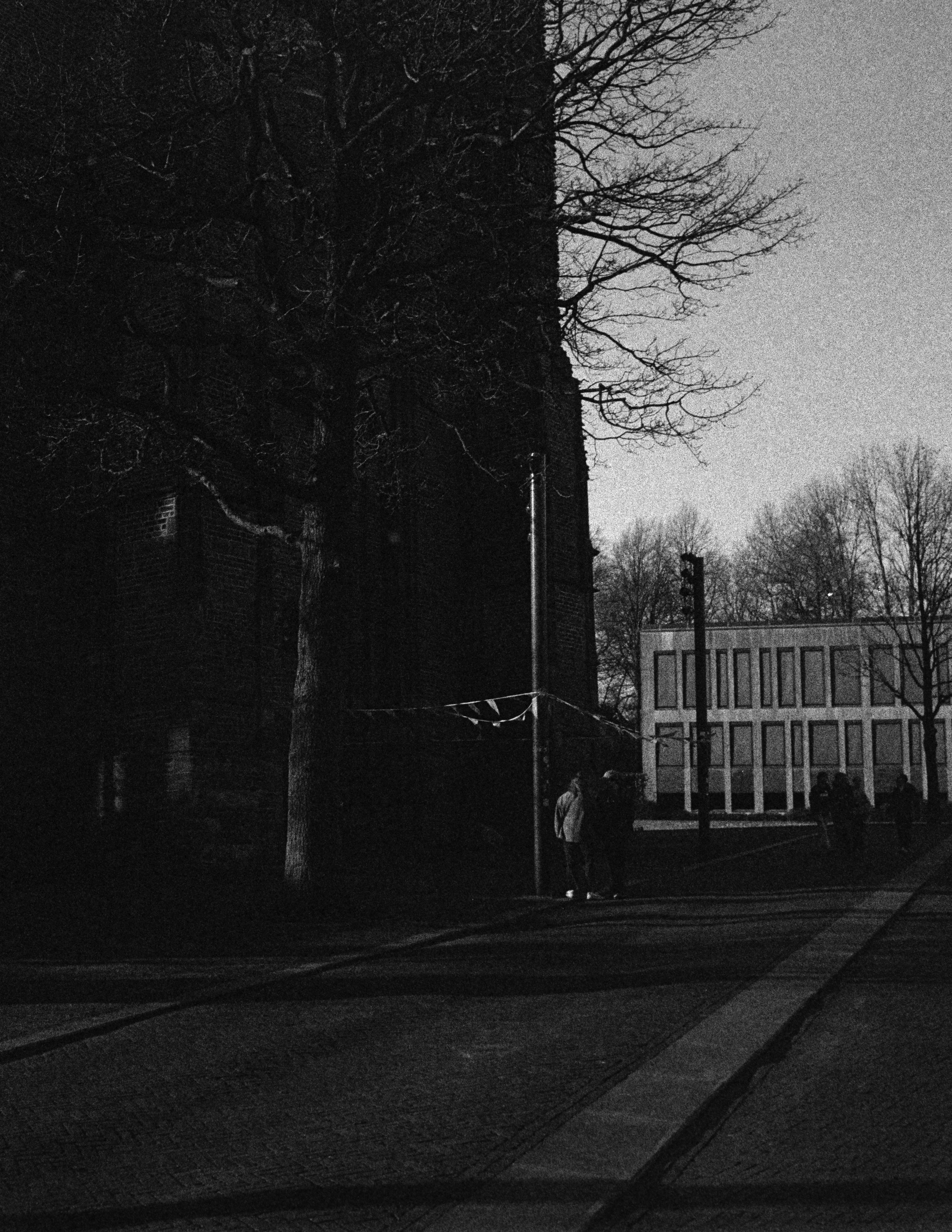 Gerben Vernhout--DSC00060.JPG