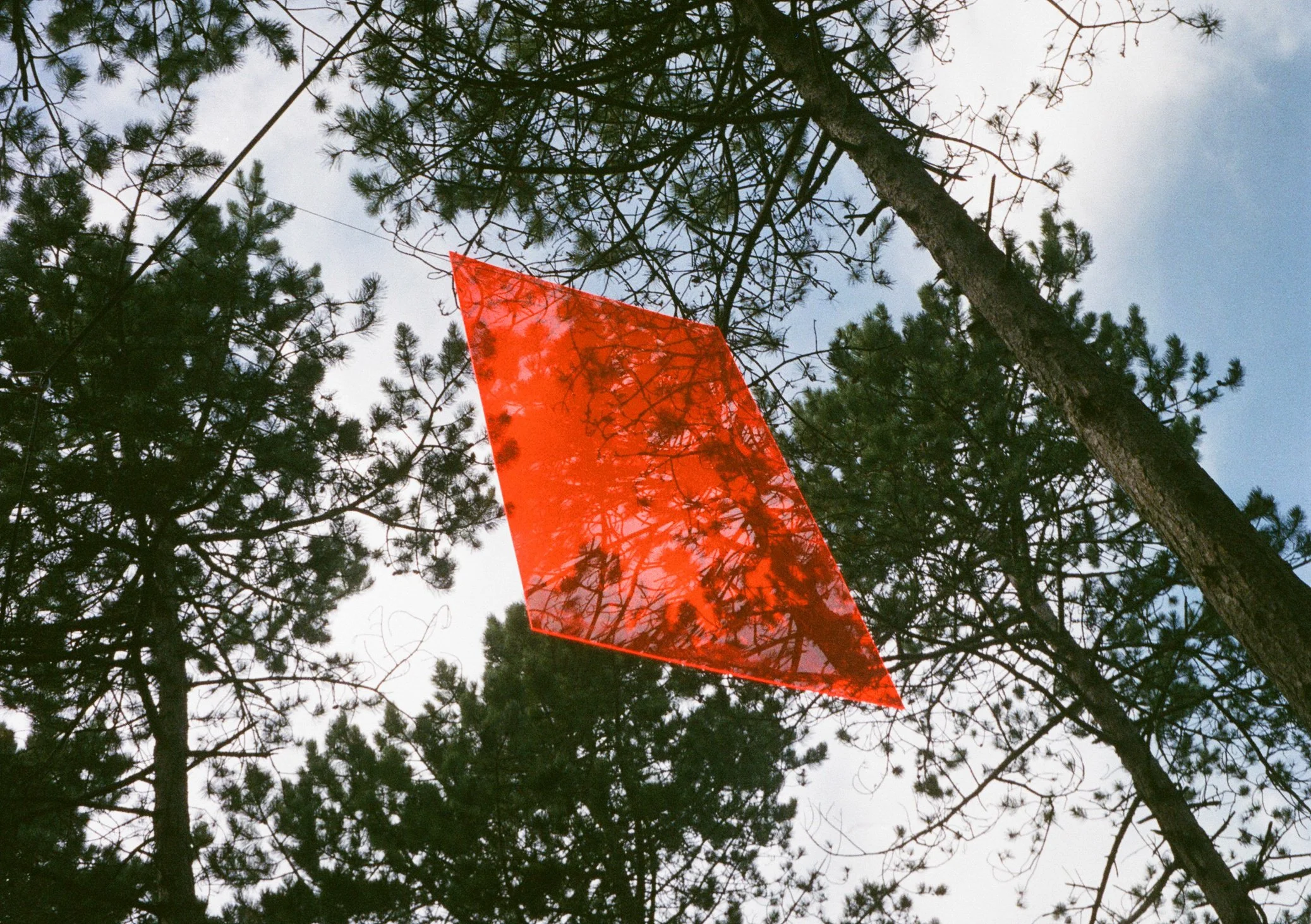 20231011-Into the great wide open 2023-10.jpg