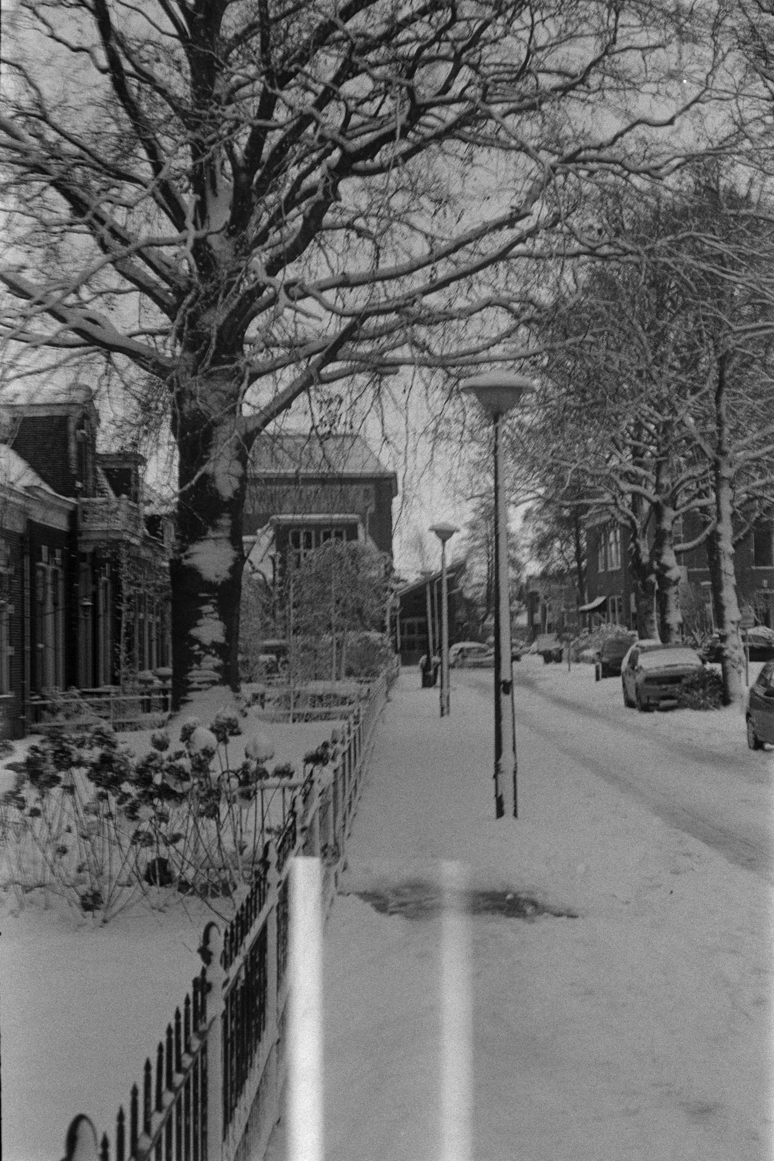 Gerben Vernhout--DSC00024.JPG