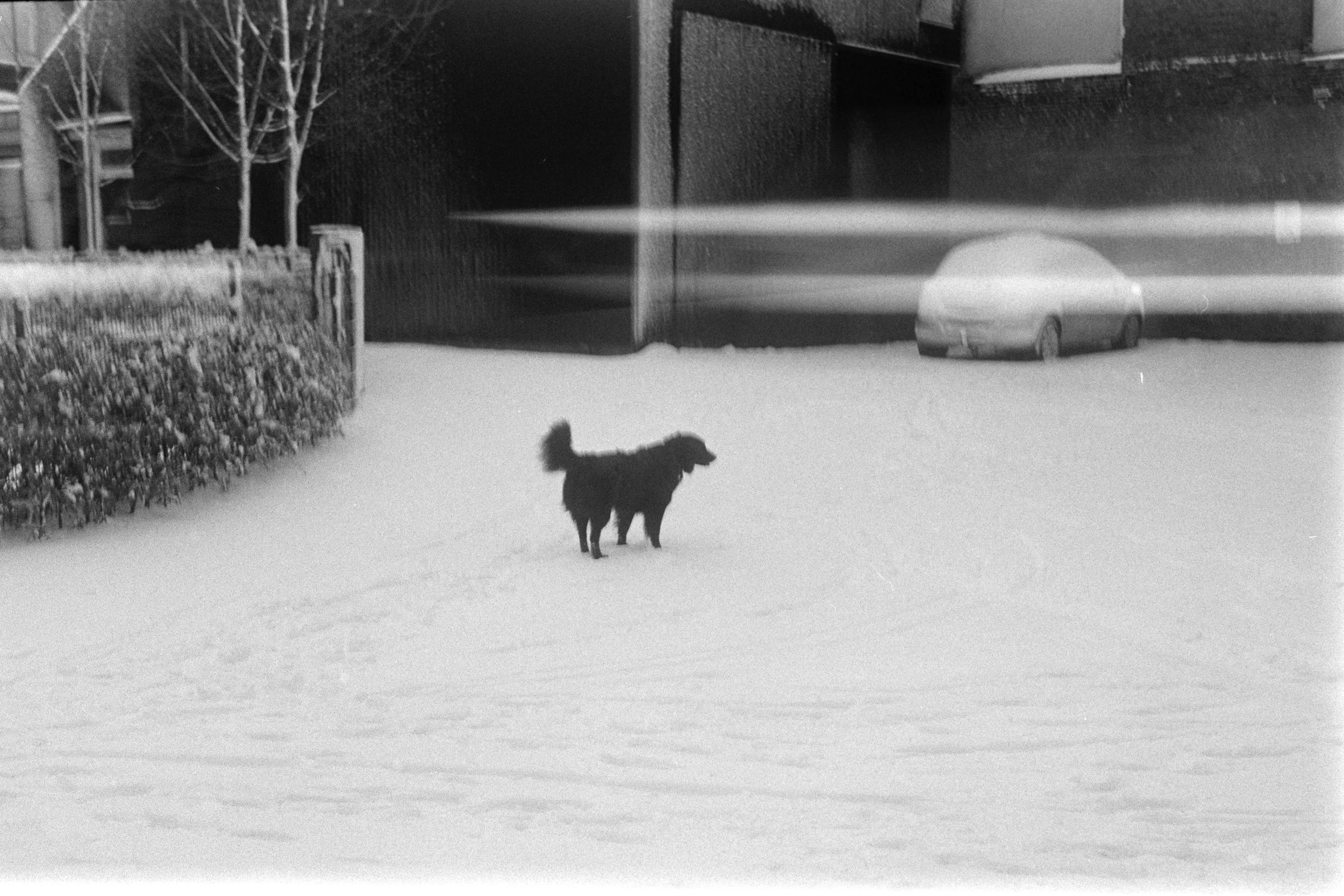 Gerben Vernhout--DSC00011.JPG