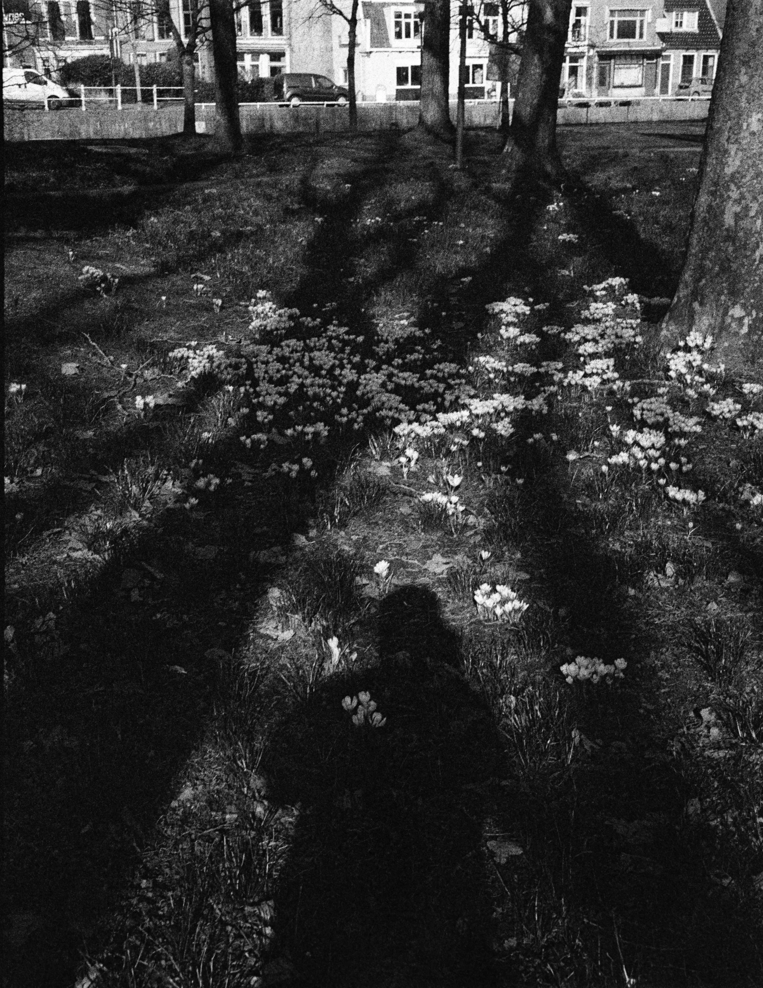 Gerben Vernhout--DSC00066.JPG